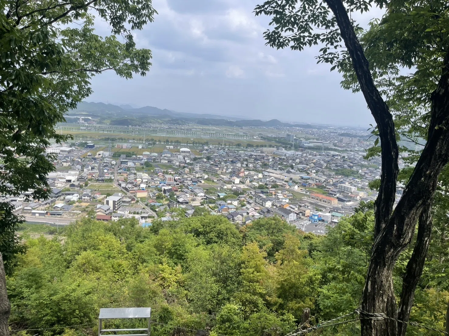 I climbed Sanno-yama in Seki City. 250725 Kato Blog｜鉄家具と暮らす