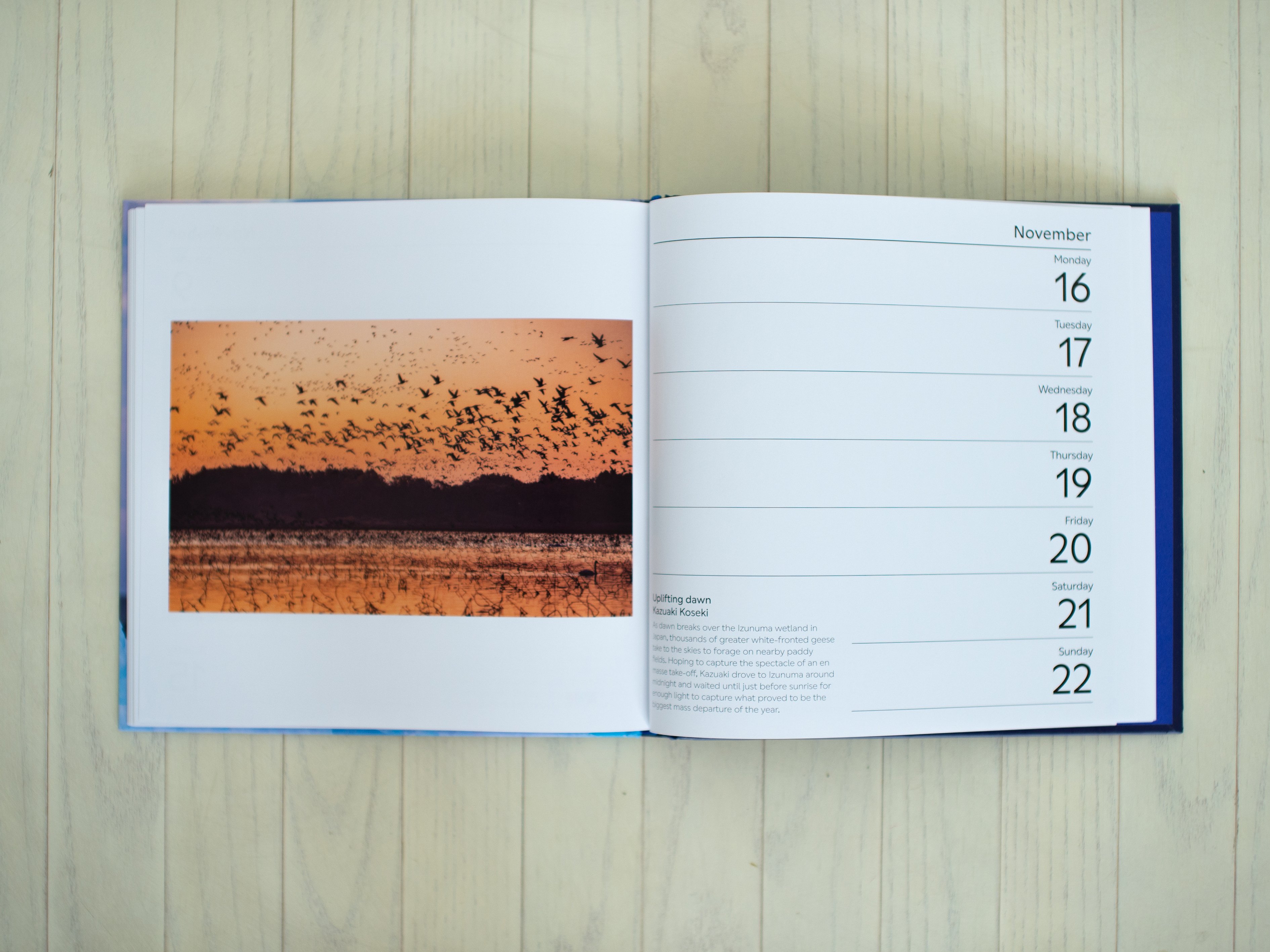 Wildlife Photographer of the Year Desk Diary 2026｜小関一成