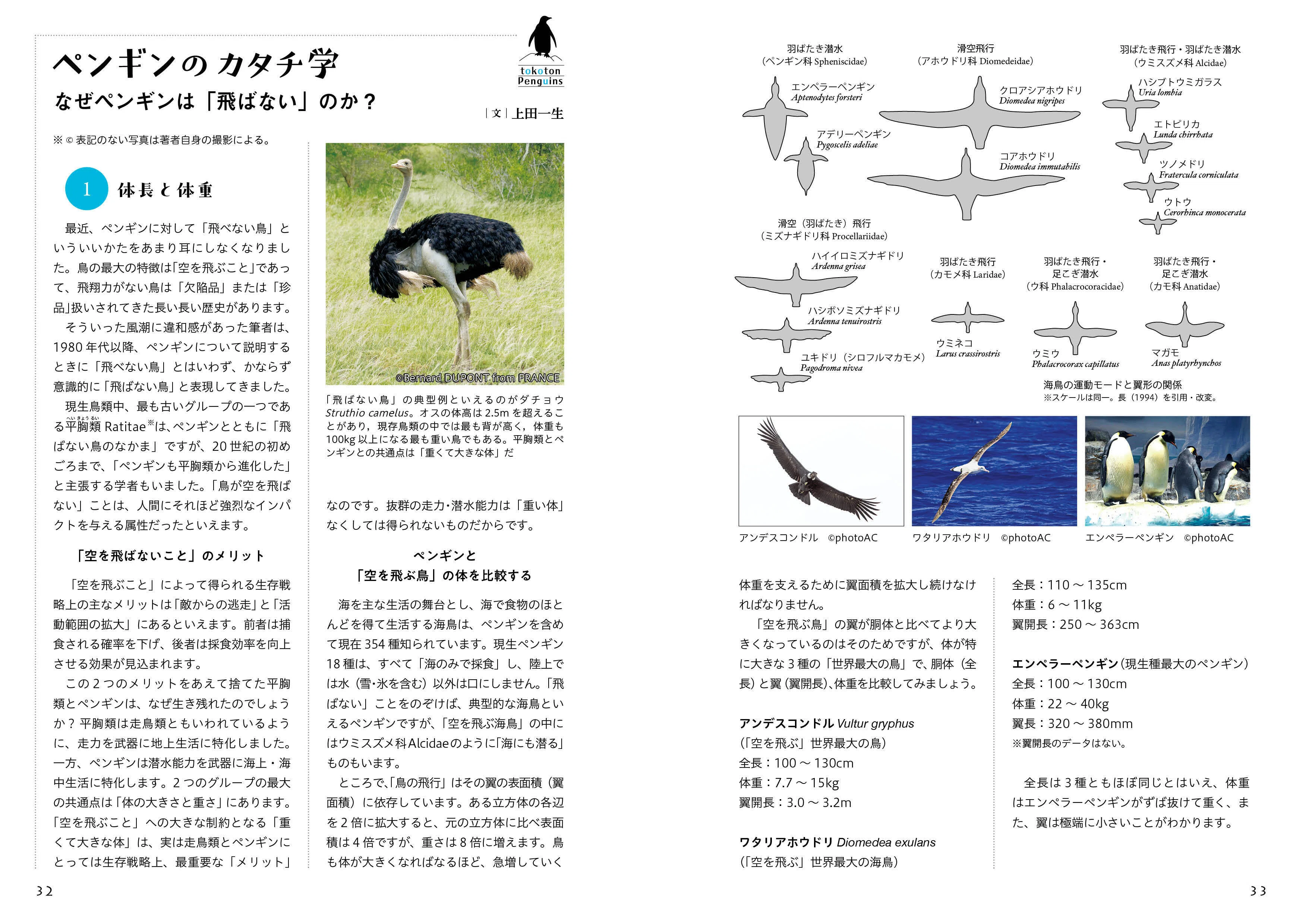 かわいいだけじゃない！ ペンギンの秘密に迫る本｜ブンイチ（文一総合