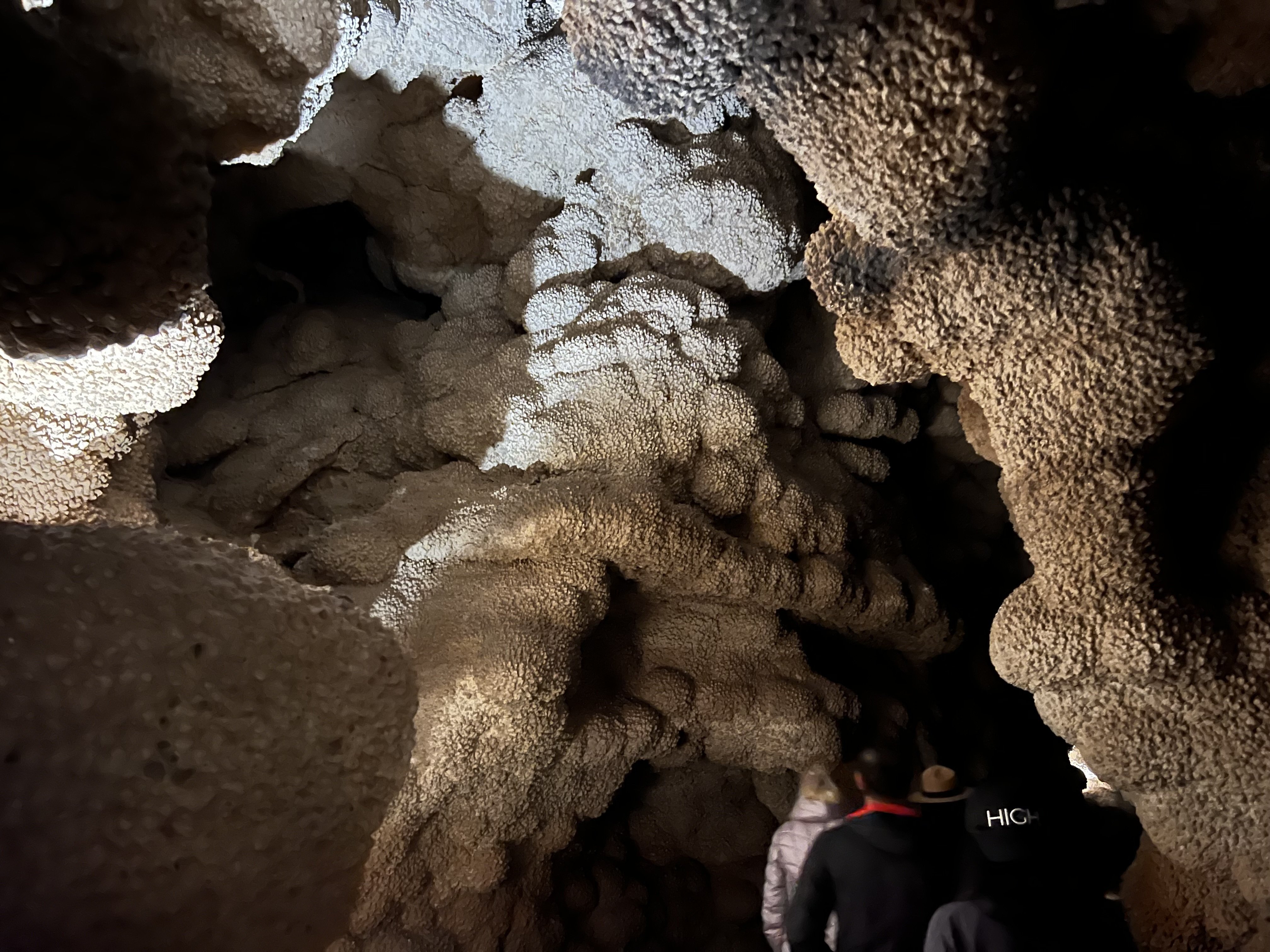 違いがわかる洞窟ウィンドケーブ国立公園｜Katsuya Shiratori