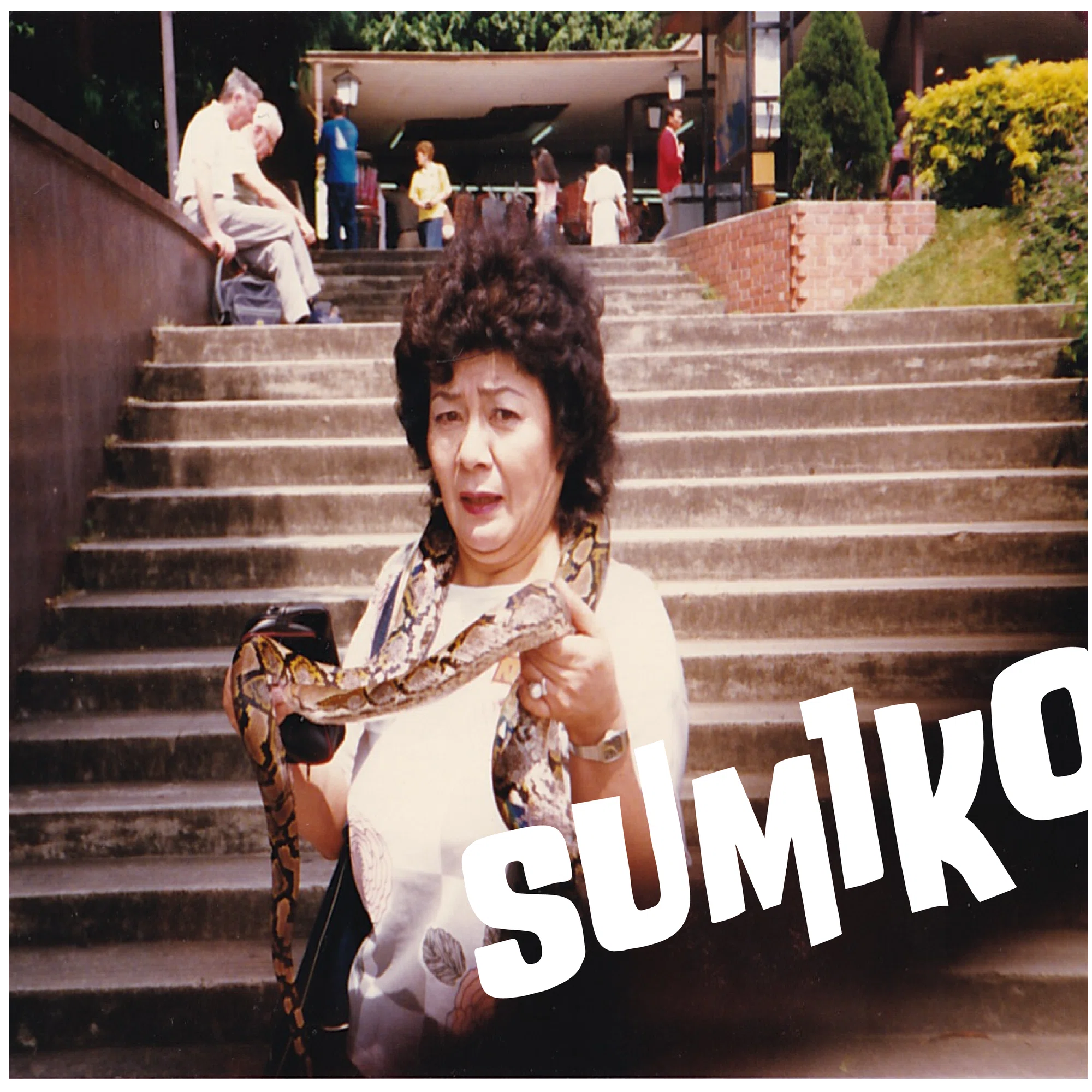 Started the Sumiko Project｜Misa Nishimoto