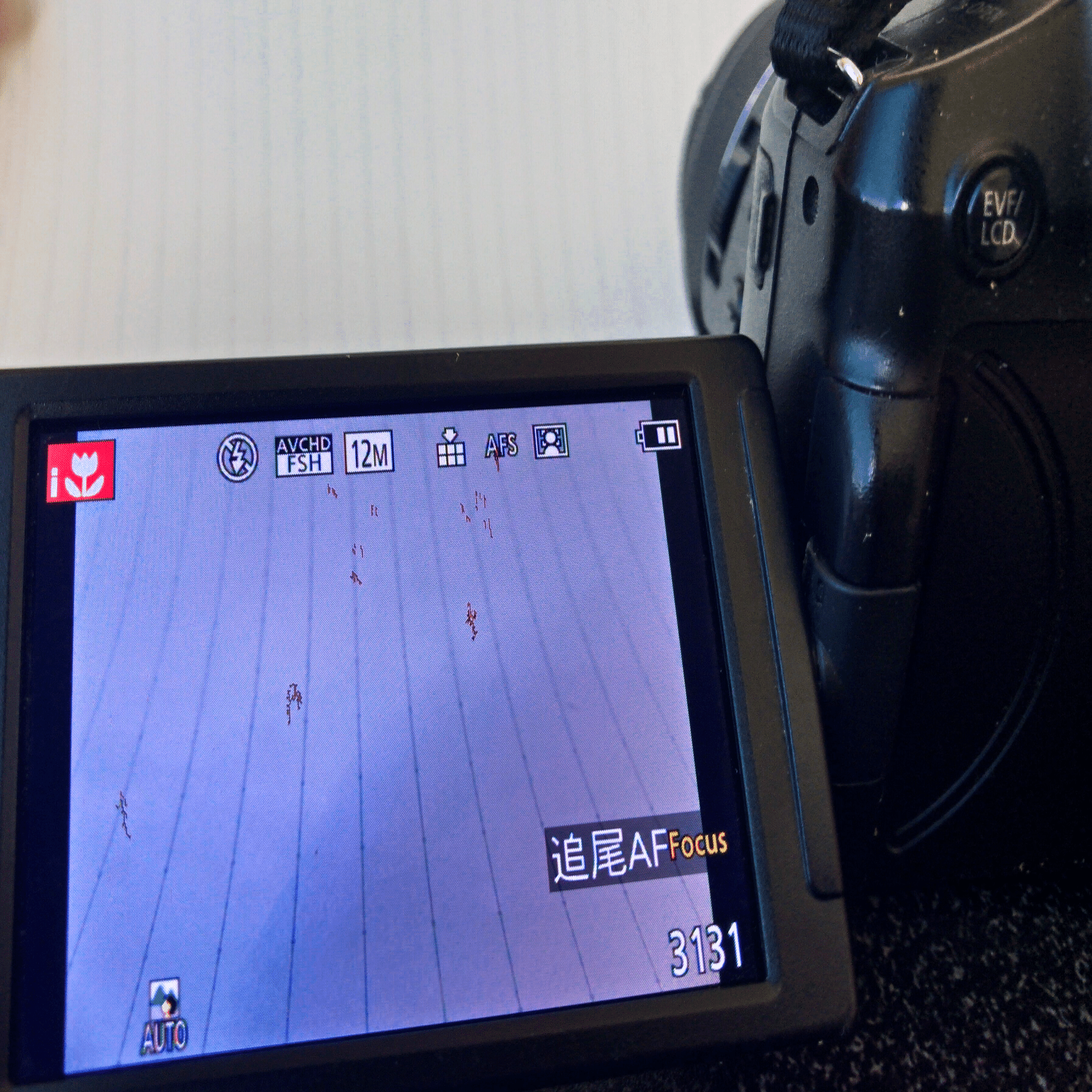 ネオ一眼ユーザー、Canon EOS R10 を買って嵐山へ行く｜じょじょ