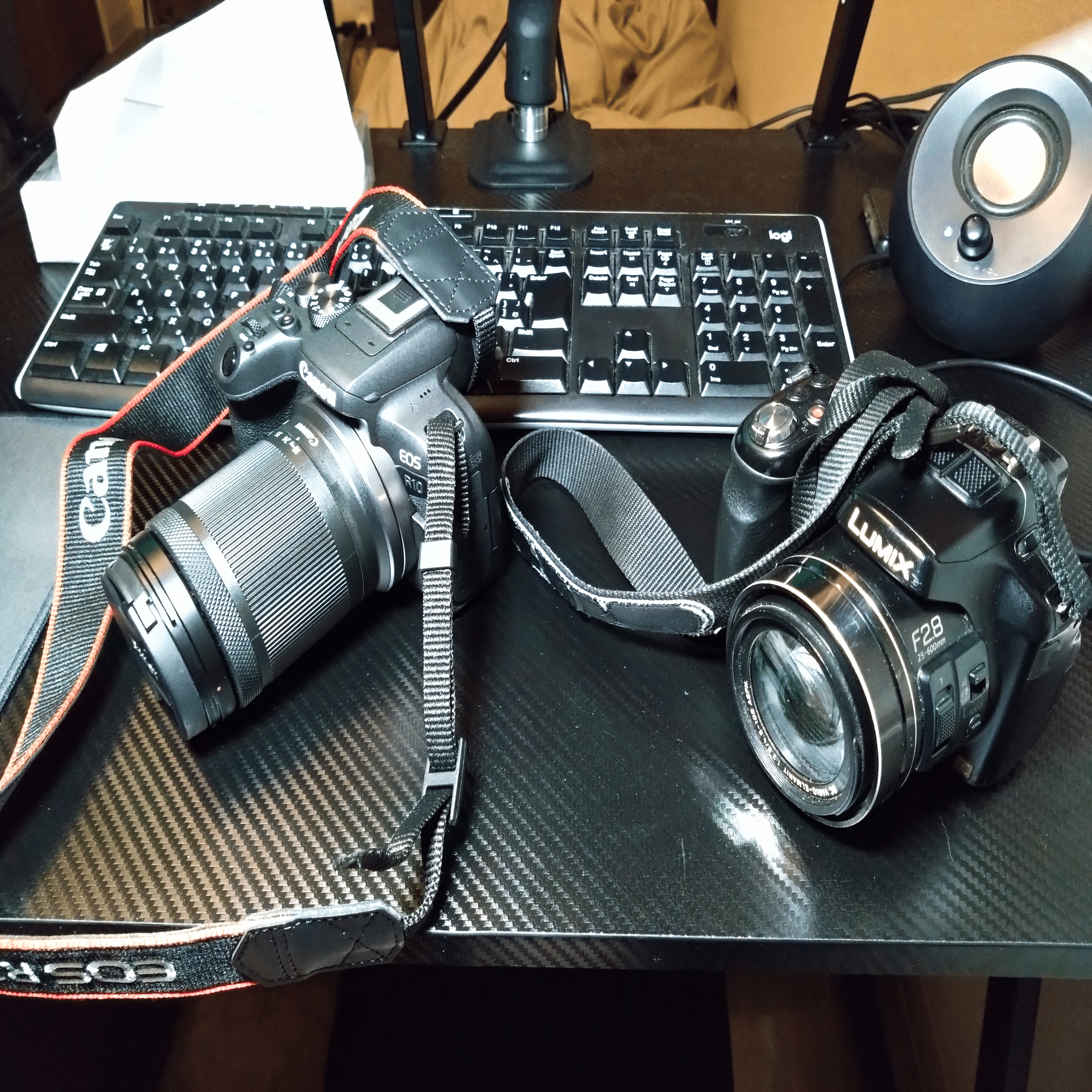 ネオ一眼ユーザー、Canon EOS R10 を買って嵐山へ行く｜じょじょ