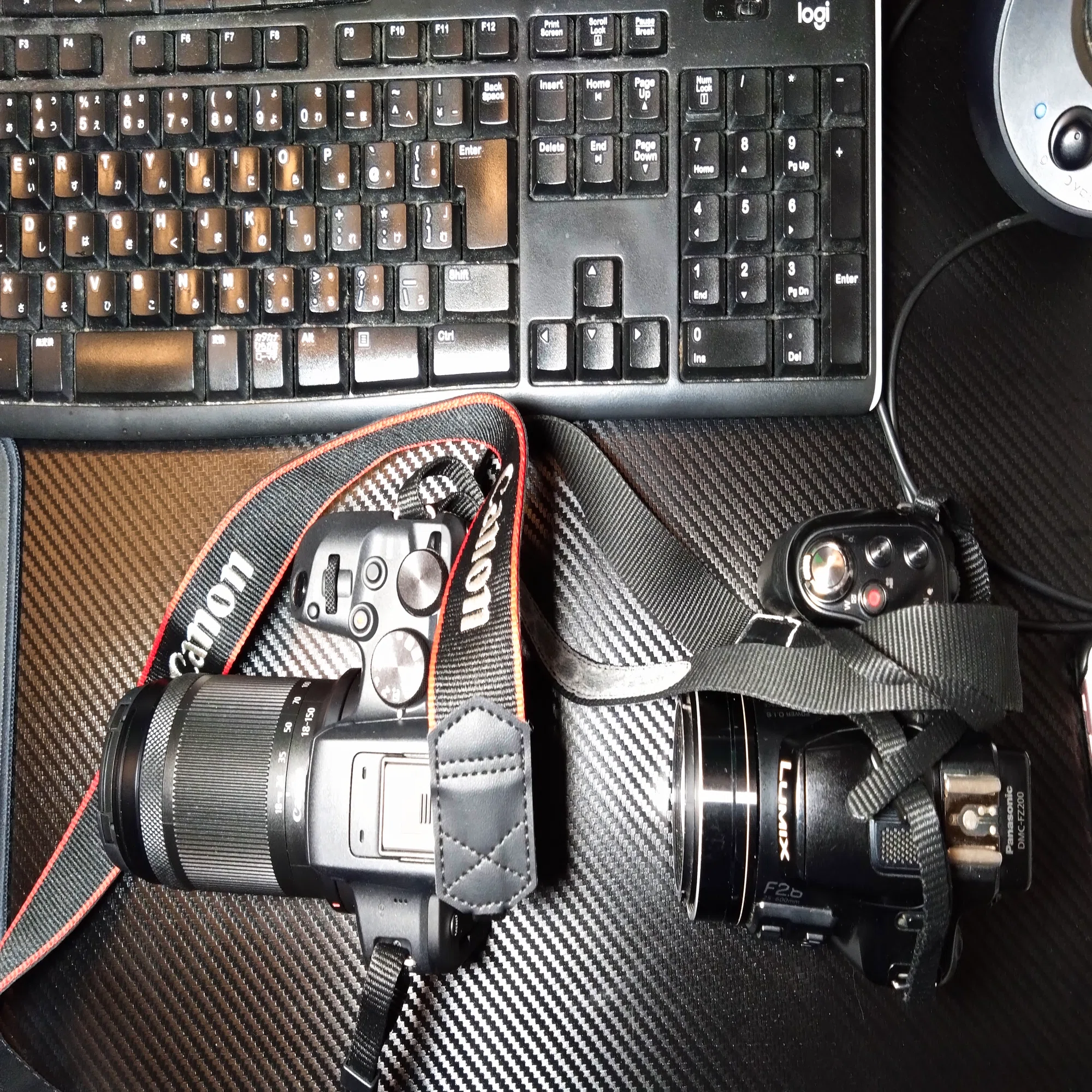 ネオ一眼ユーザー、Canon EOS R10 を買って嵐山へ行く｜じょじょ