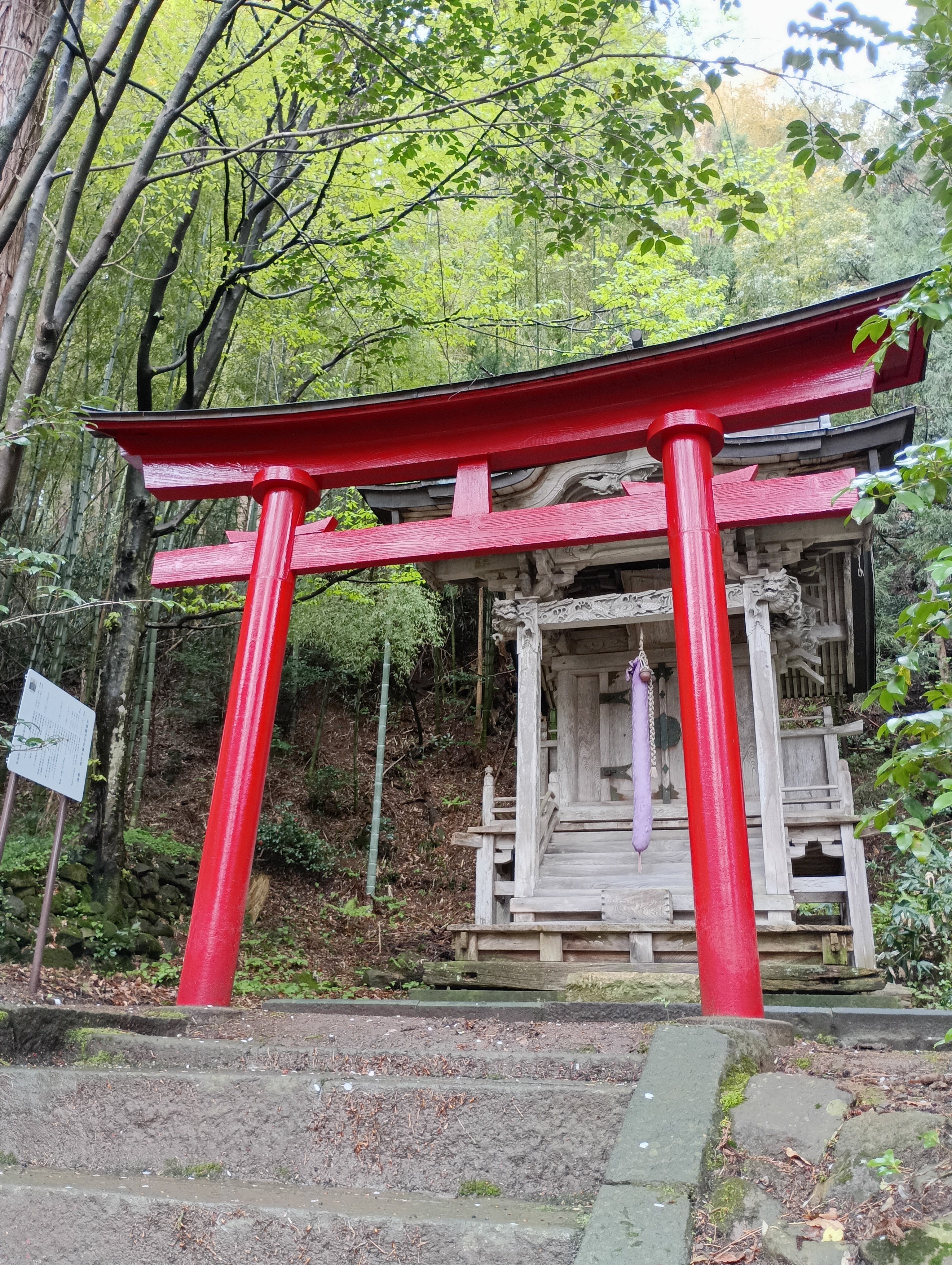 大祭に出遭う 鳥海山大物忌神社 蕨岡口之宮 ｨｲ・ヤシロ・チvol.101｜名