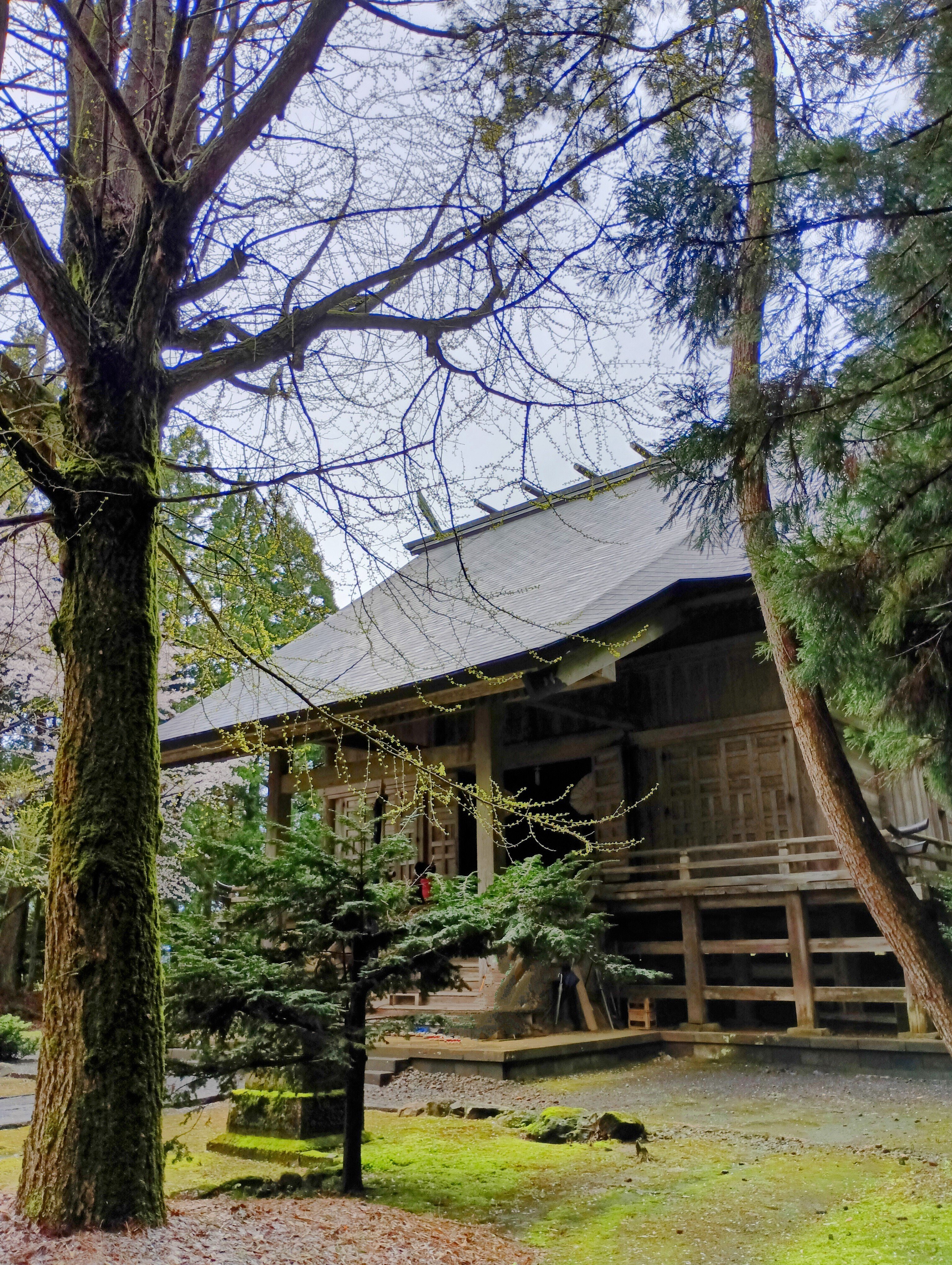 大祭に出遭う 鳥海山大物忌神社 蕨岡口之宮 ｨｲ・ヤシロ・チvol.101｜名