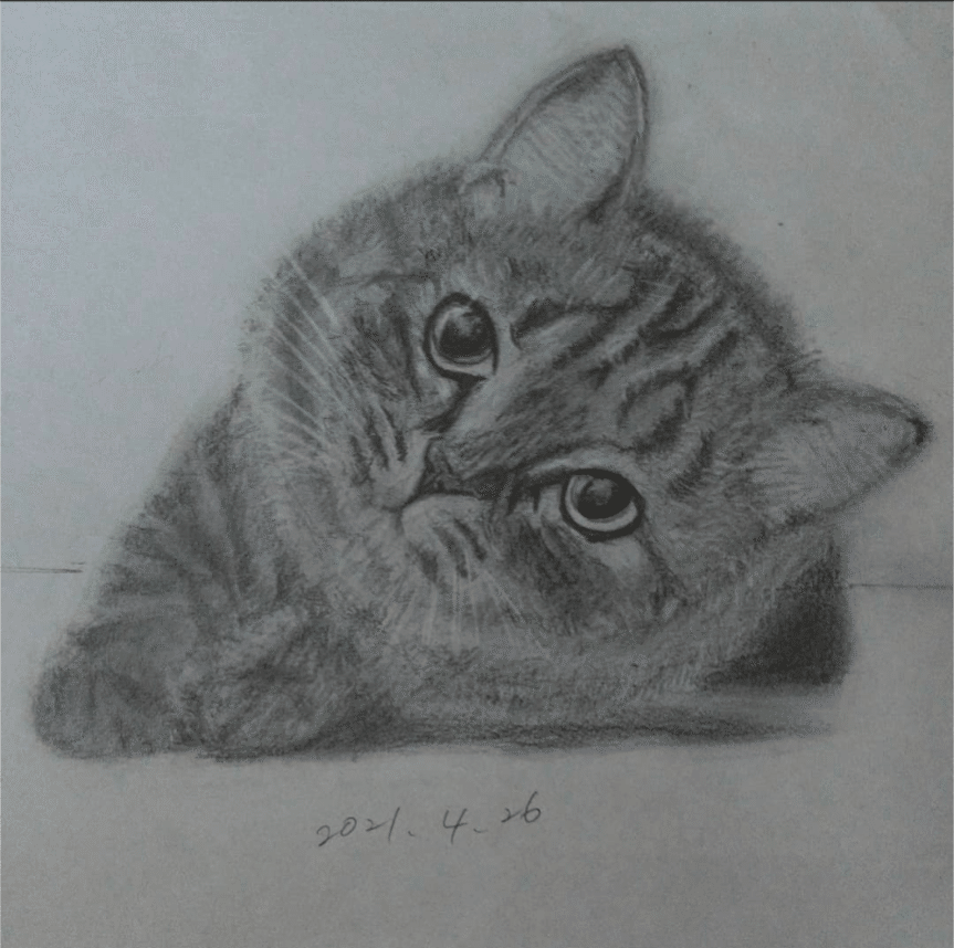 鉛筆画　猫 鉛筆画 猫 制作動画 - YouTube