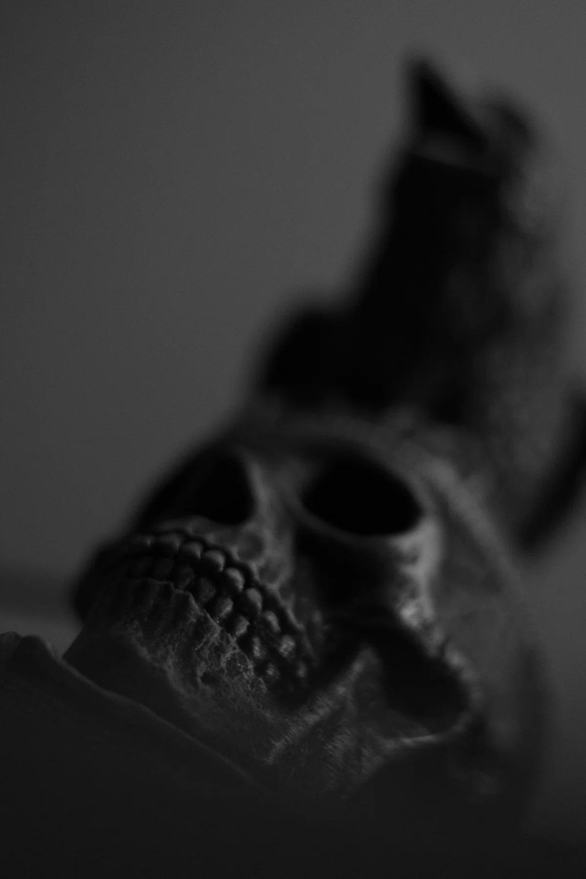 [Skull x Color!] A story of what is born from the combination of skulls ...