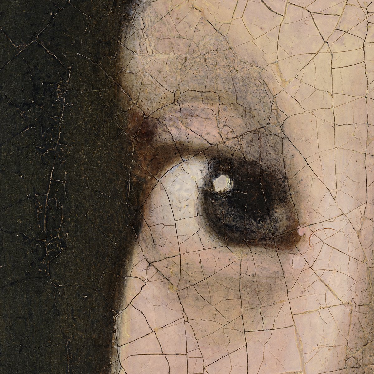 なぜ、彼女は私を見つめるのか？ フェルメール『真珠の耳飾りの