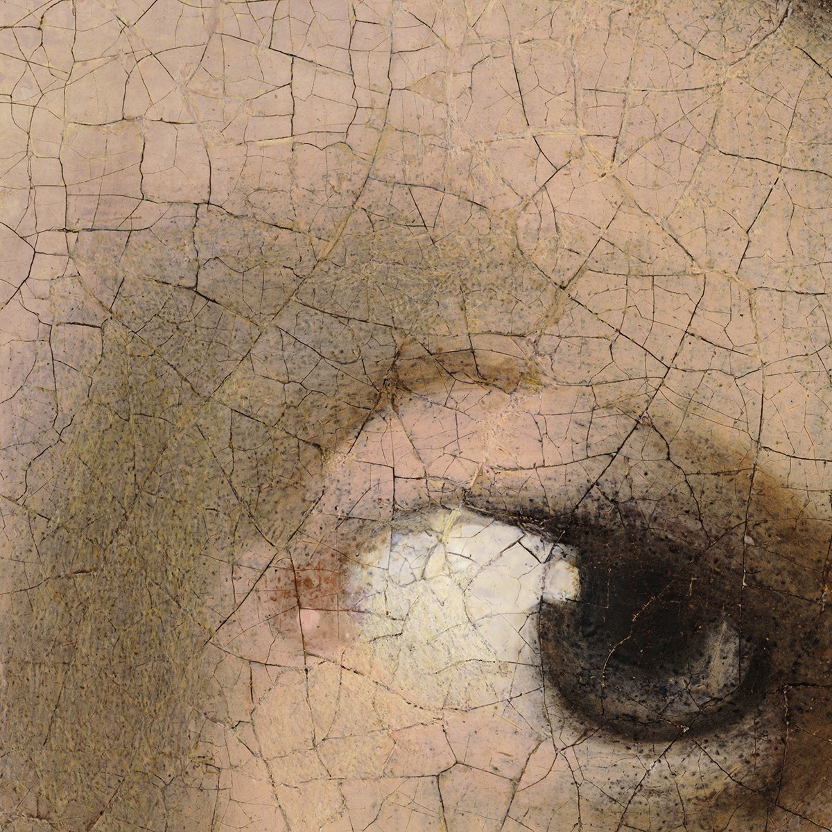 なぜ、彼女は私を見つめるのか？ フェルメール『真珠の耳飾りの