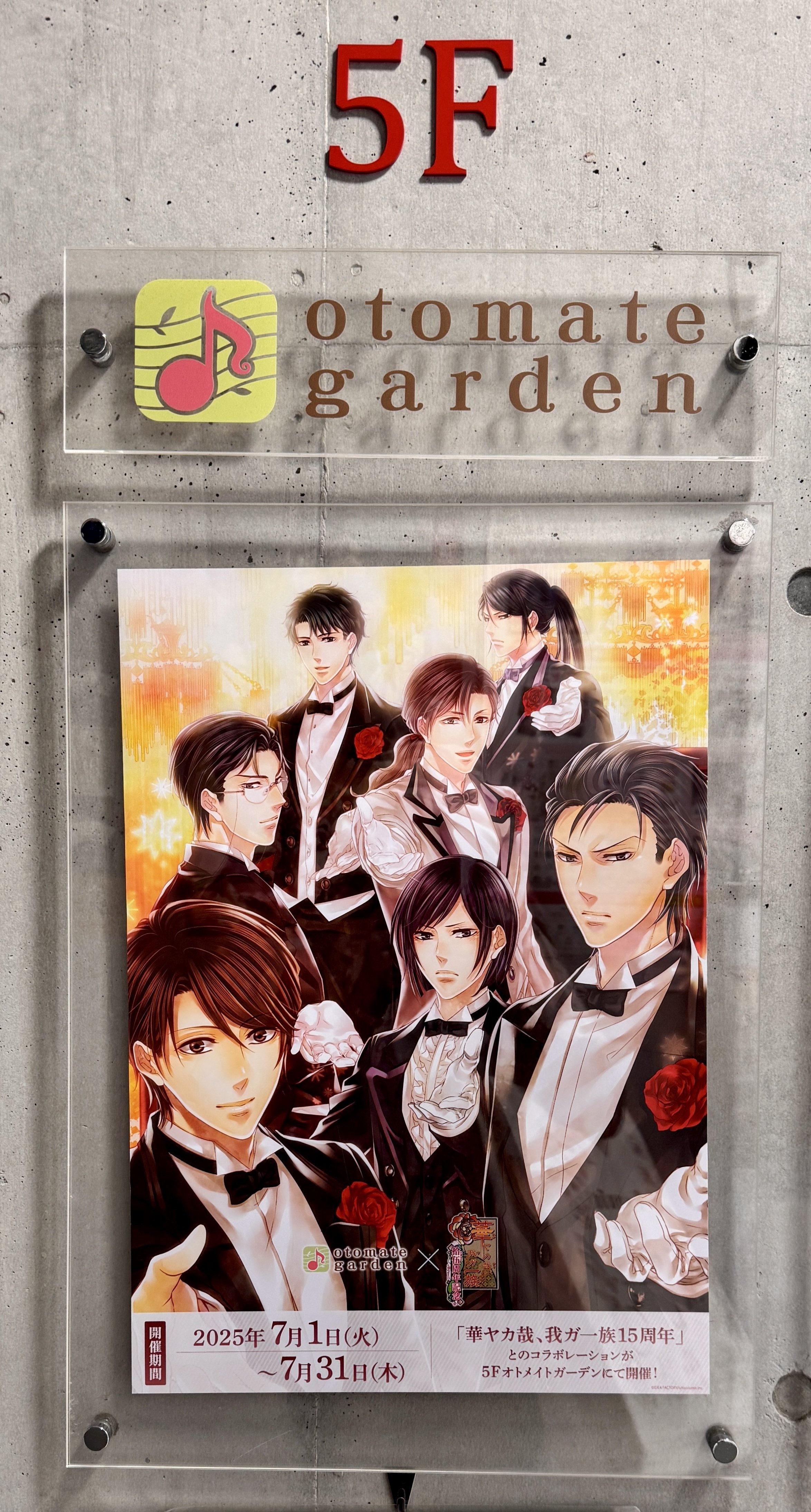 【新品】華ヤカ哉、我ガ一族 店舗特典ドラマCD 16枚まとめ売りセットオトメイト 新品】華ヤカ哉、我ガ一族 店舗特典ドラマCD 16枚まとめ売りセット