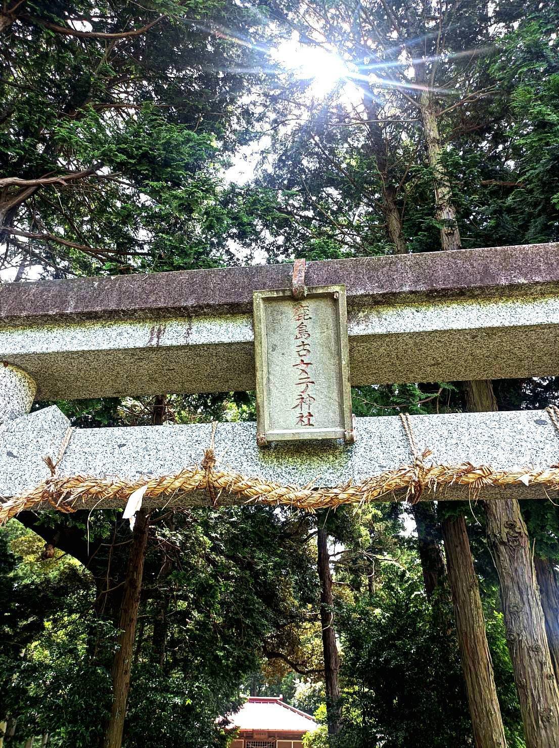 vol.10｜時代はアウトレットより延喜式。阿見の神社に古代の