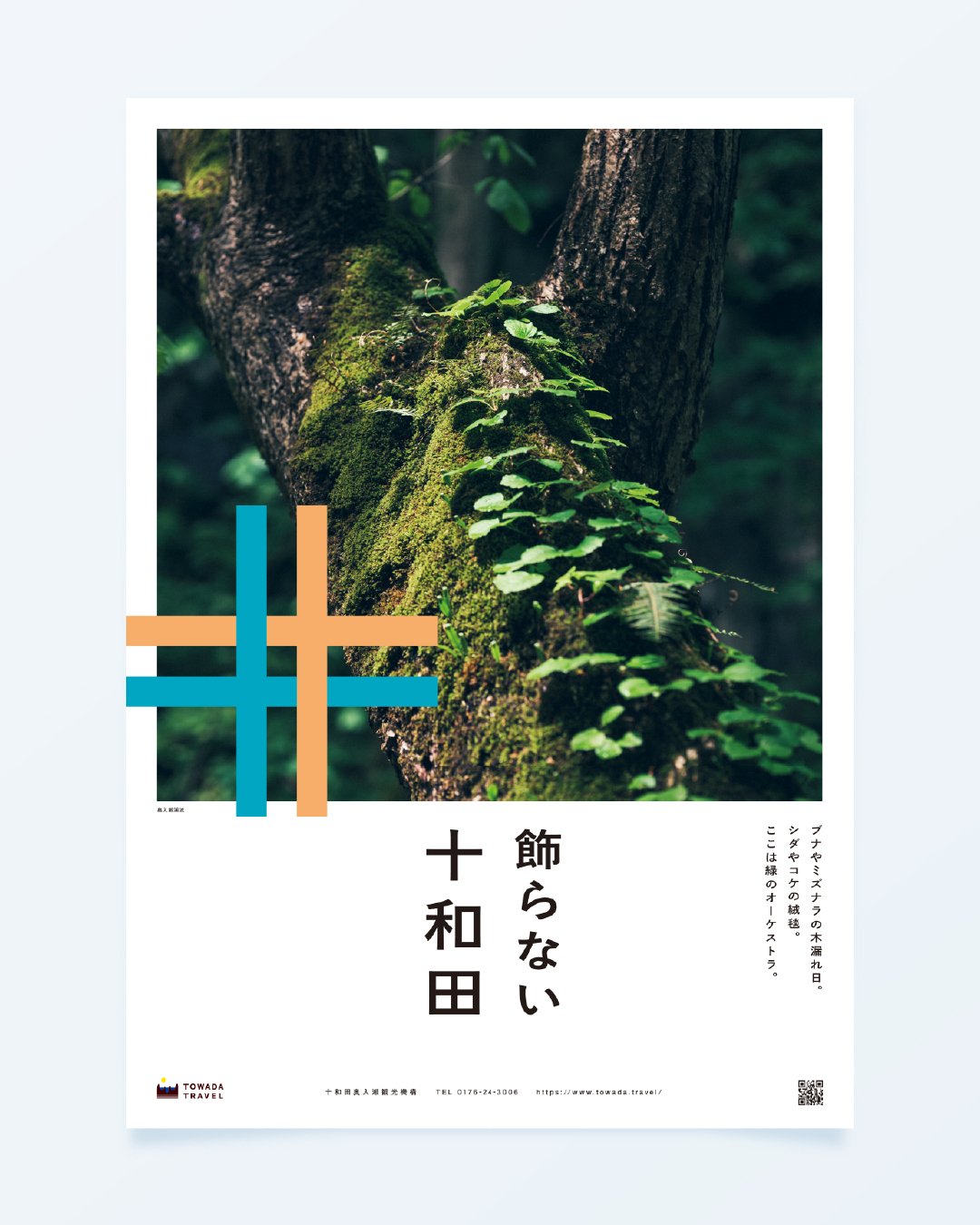 ありのままの自然、初夏の奥入瀬渓流 ＃飾らない十和田｜飾らない十和田