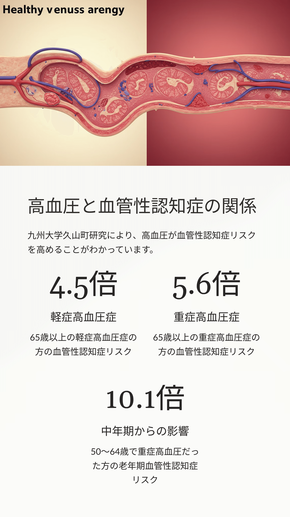 血管や脳の健康維持と健やかな脳の発育の決め手【吸収力抜群な新世代オメガ3 】 老化は血管から！血管や脳を健やかに保つ！新世代オメガ3