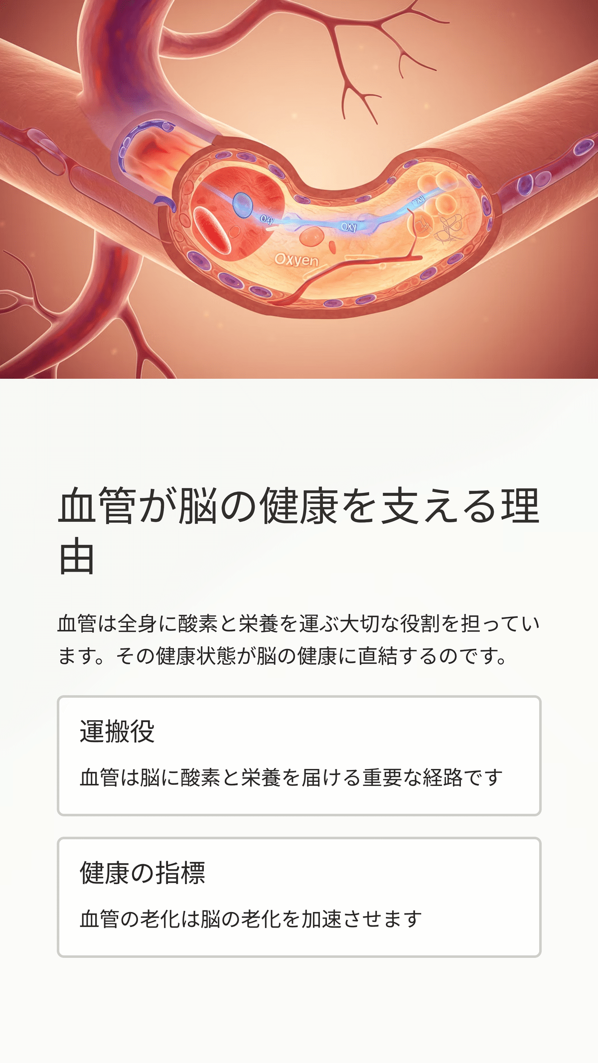 脳や血管の健やか発育と健康維持のために！【吸収力が違う新世代オメガ3 サプリ】 Amazon | [栄養機能食品]ニップン [公式] オメガ3 習慣 124粒