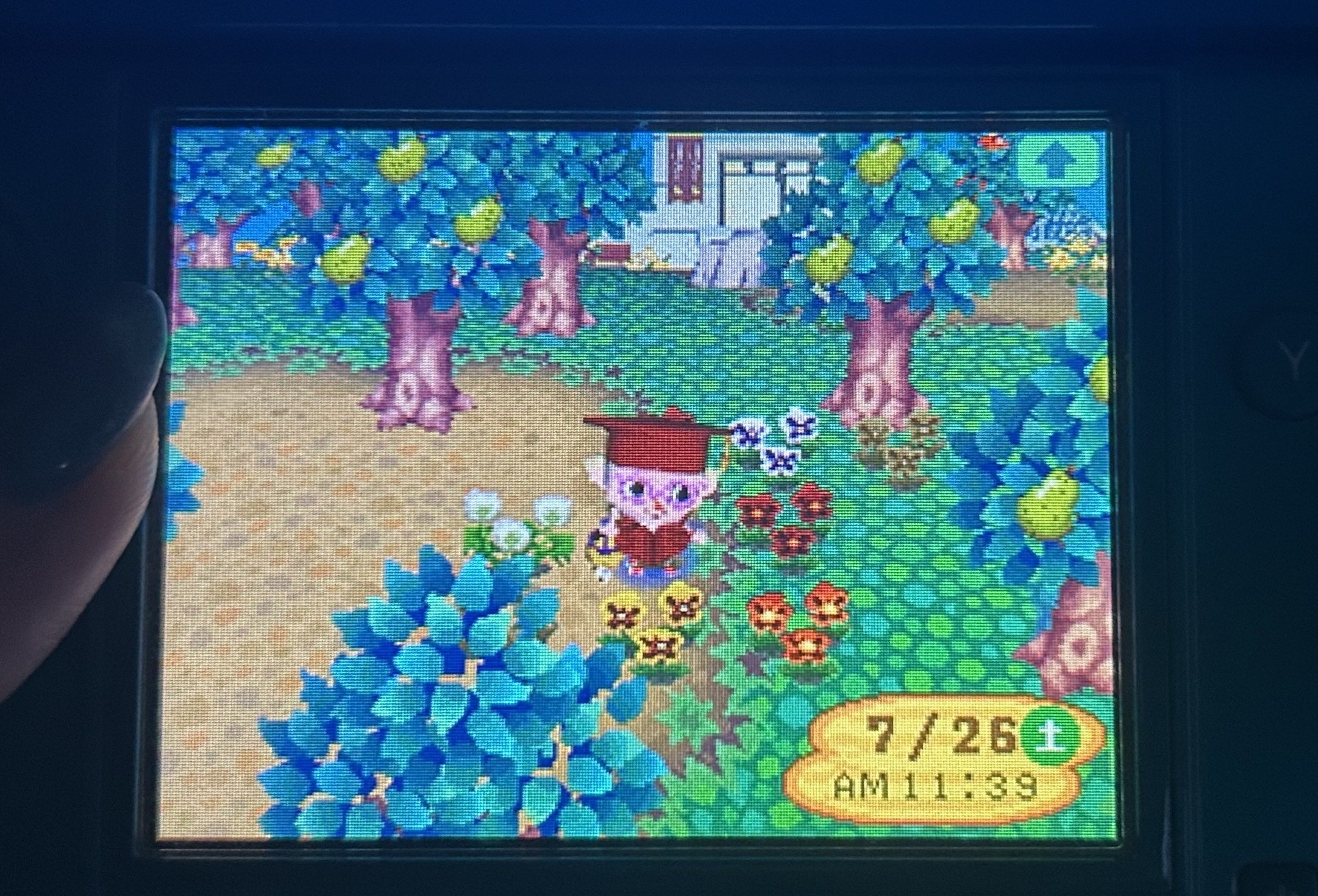 29歳が「おいでよ どうぶつの森」にハマった｜ま