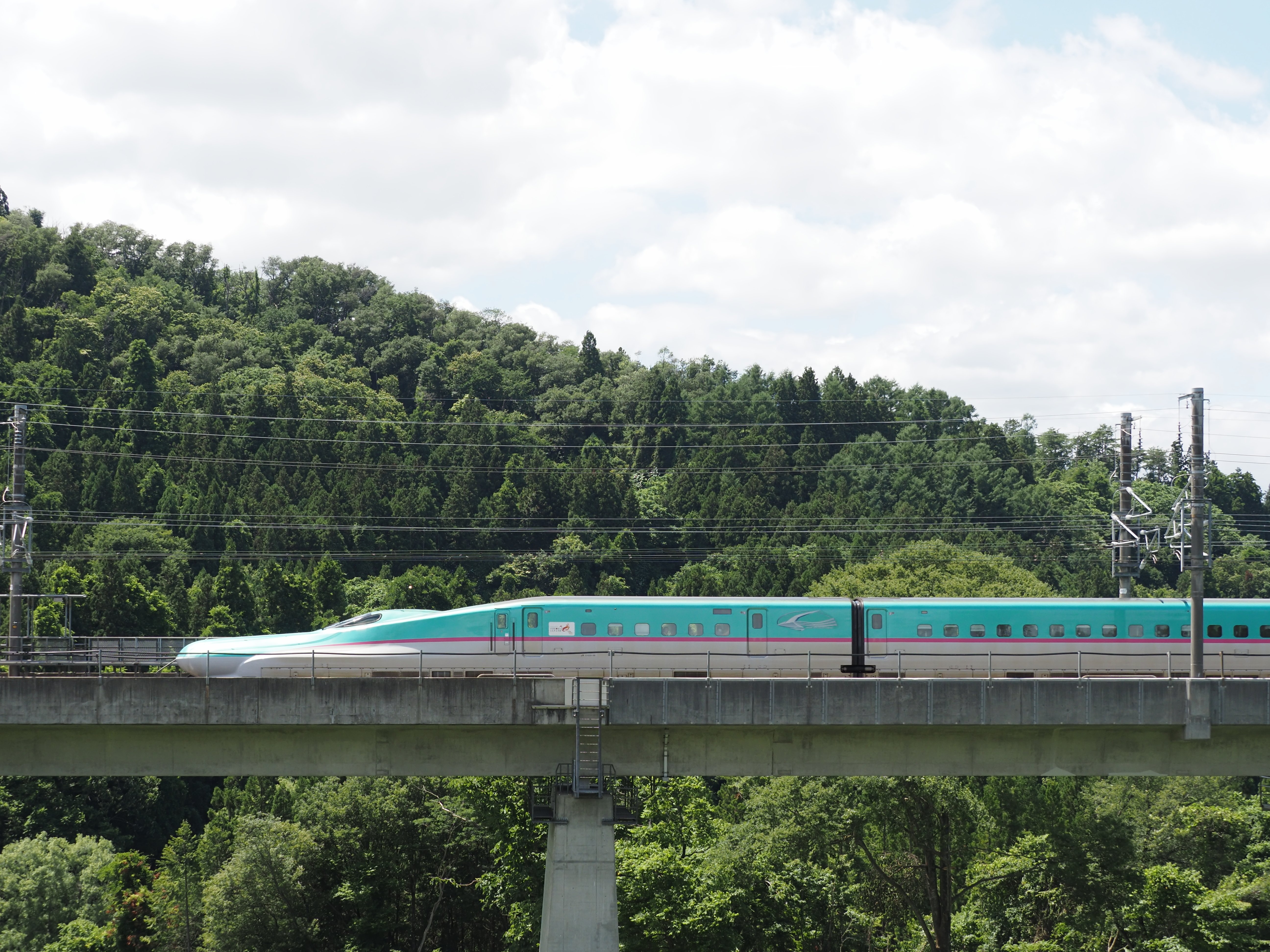 使用機材レビュー OLYMPUS OM-D E-M1X ~OLYMPUS狂気？の1台~｜さもこう