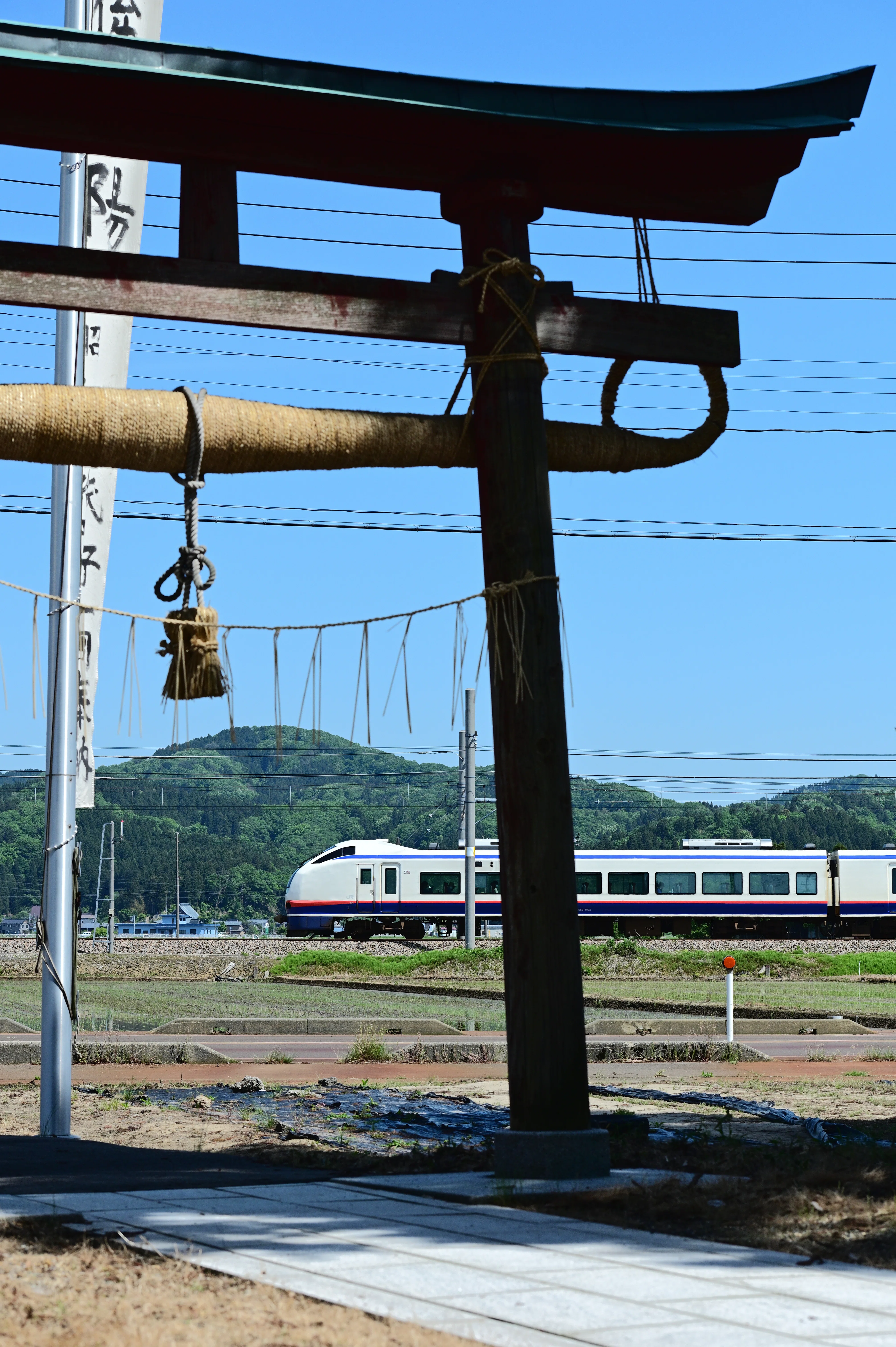撮影記｝臨時列車まつり！初夏の新潟遠征記録｜さもこう