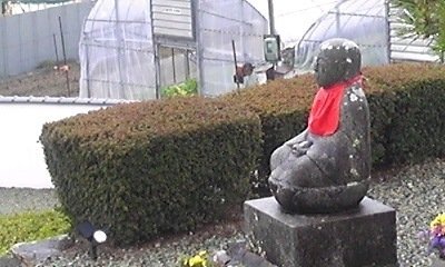 帯付）戦場の性 独ソ戦下のドイツ兵と女性たち 東部