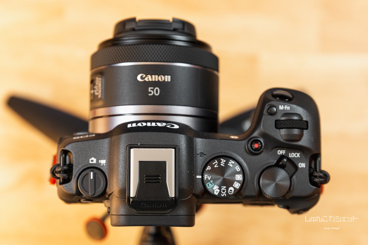 EOS R8におすすめのレンズ3選 | 撮るのが楽しくなるRFレンズたち