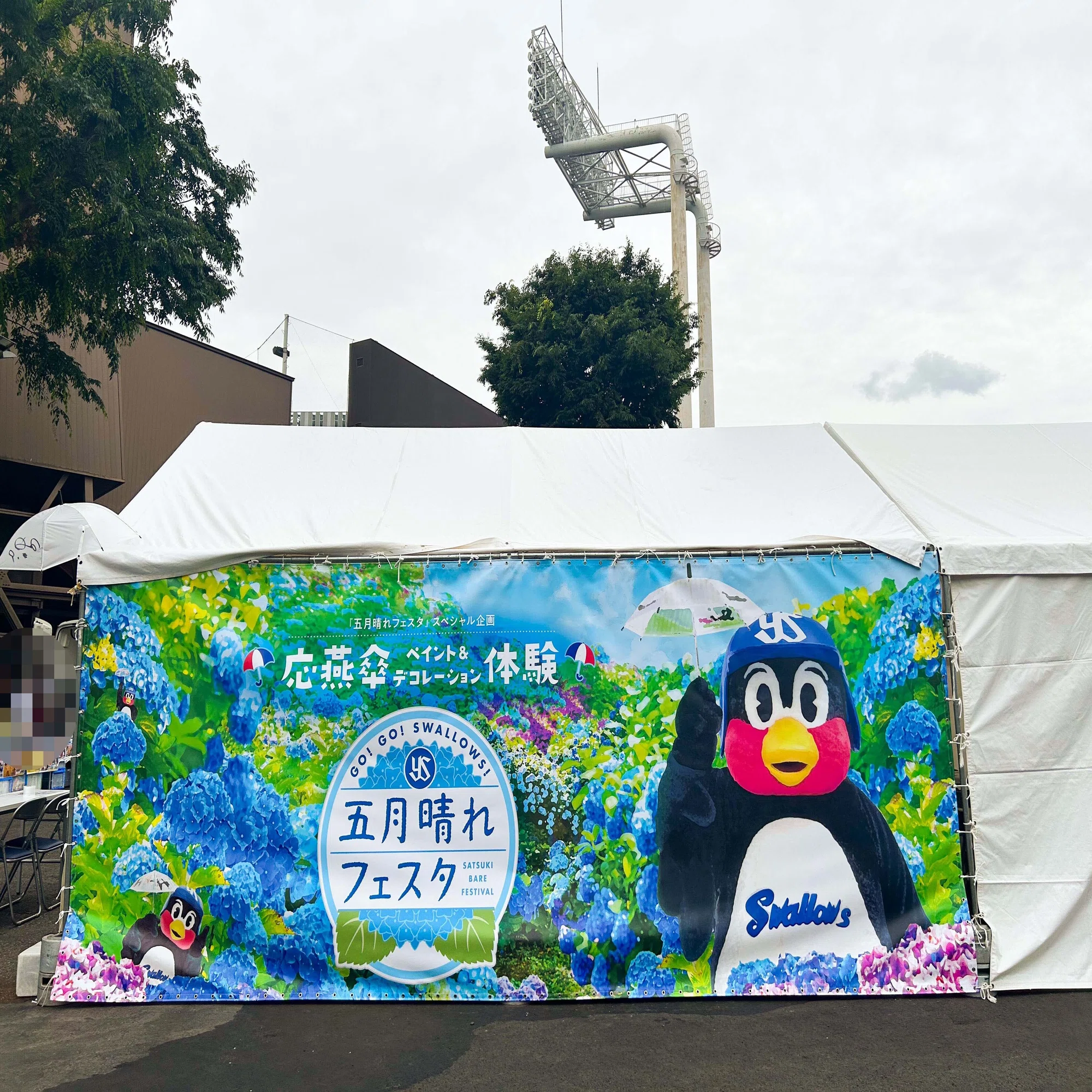 東京ヤクルトスワローズ＊五月晴れフェスタ＊〜外観ビジュアルだけ見 