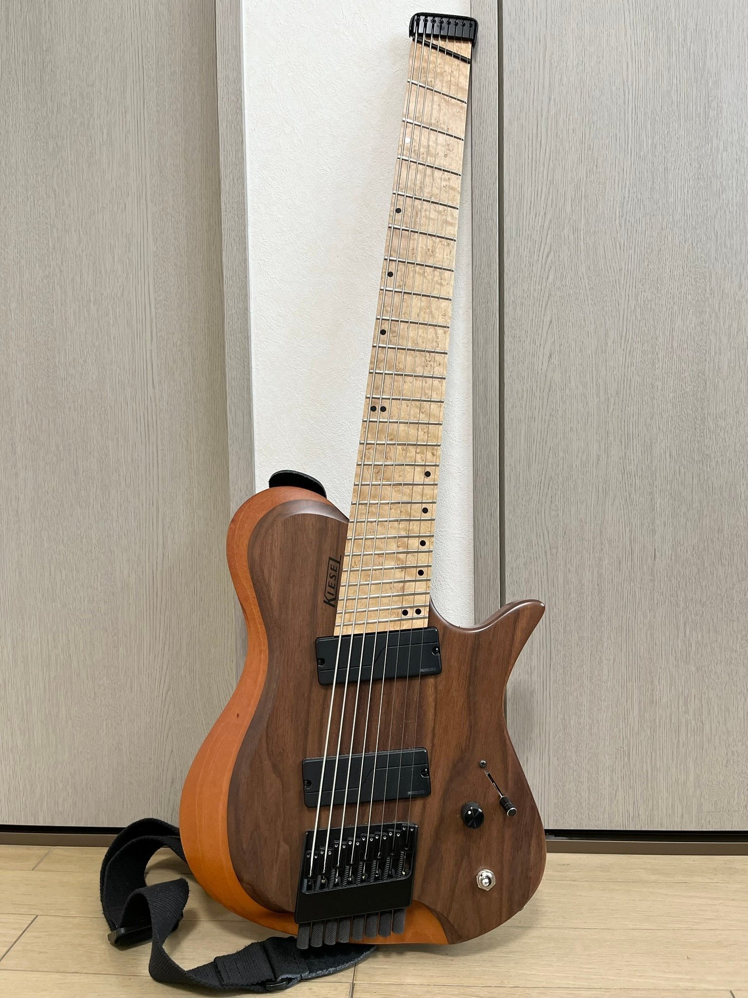 超レア楽器 フレットレス琵琶ギター 10年間ヘッドレスギター使ってきたのでヘッドレス歴を振り返ろう