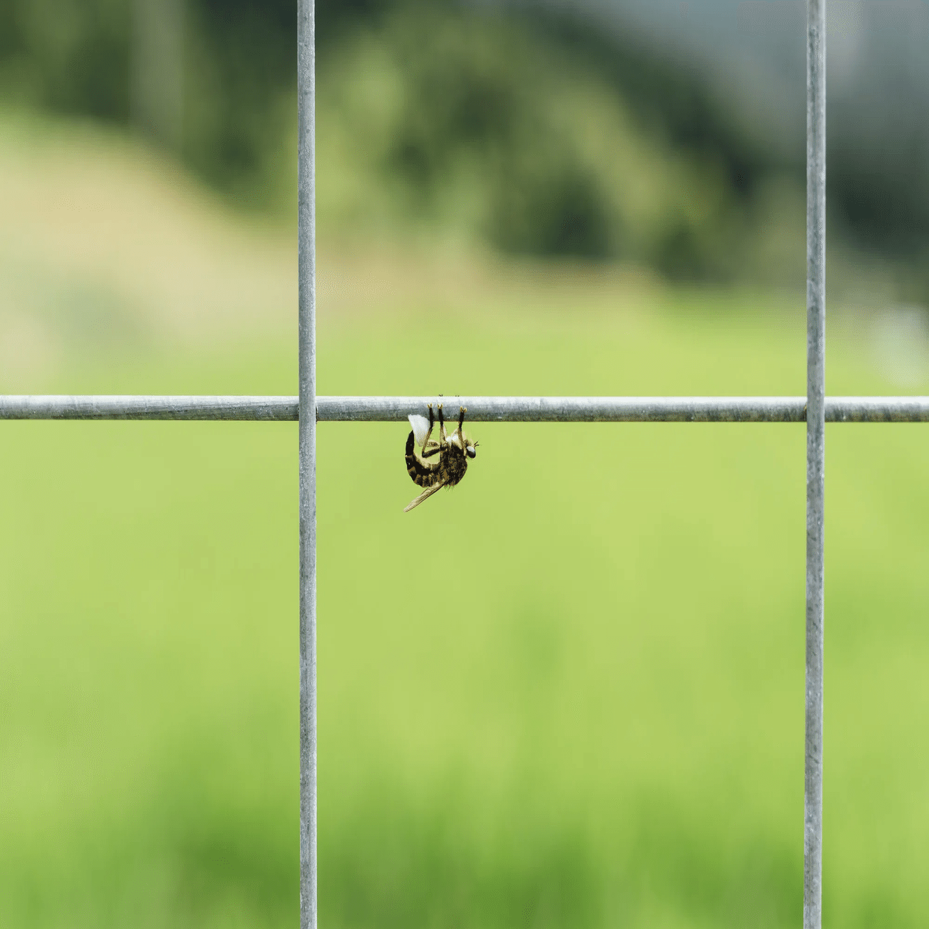 旅にフレーム♯6 『ツチノコ探検隊』｜しらふ｜と｜ビール