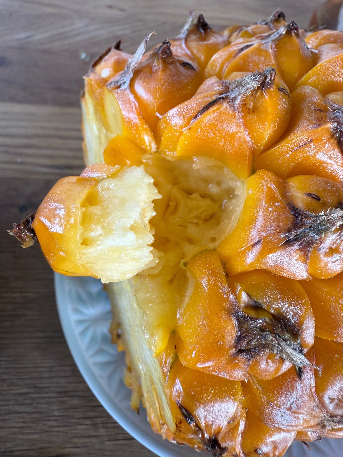 20250723 むしる派。|前田海香子