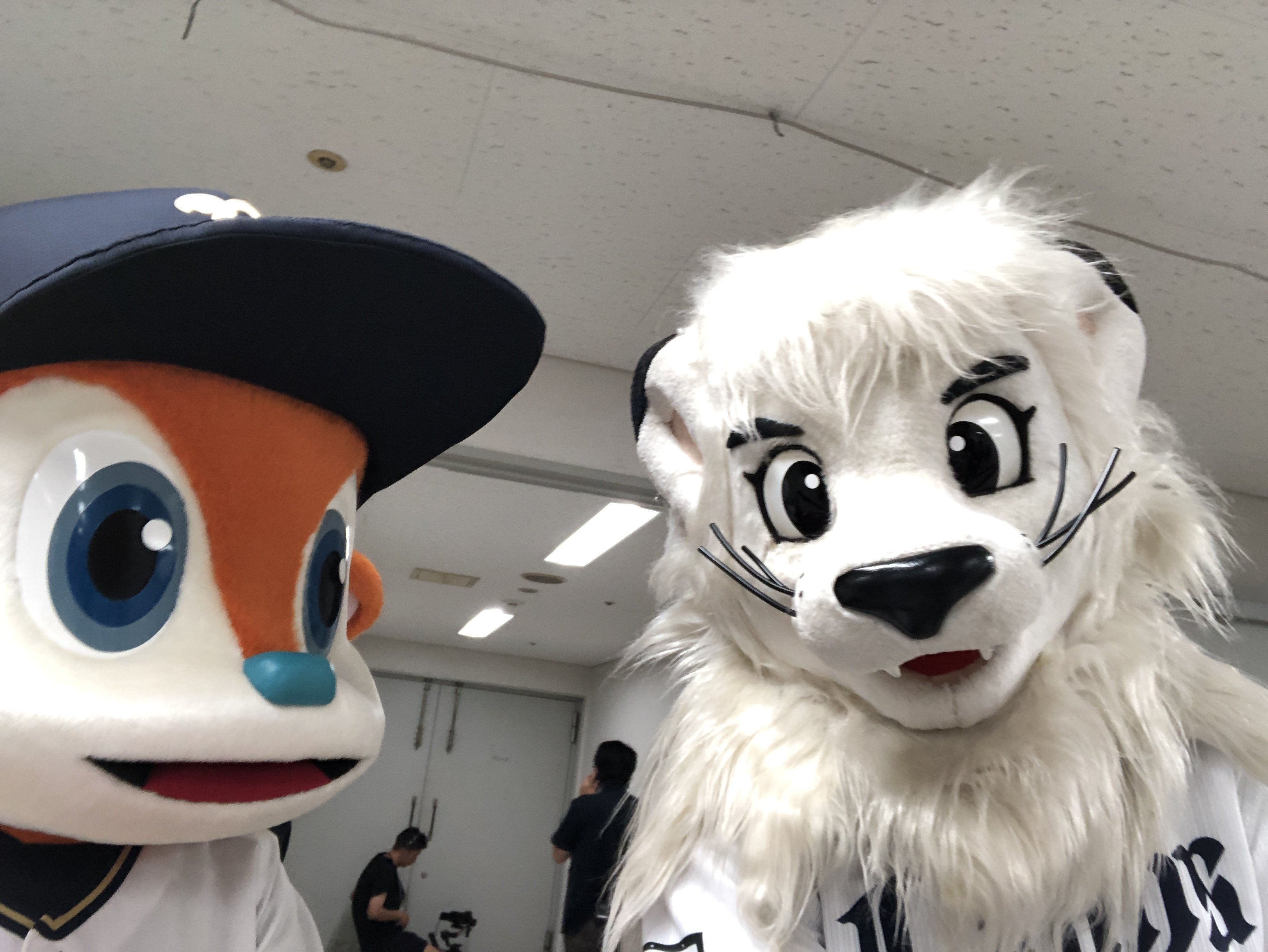 希少！！ライオンキング完成披露試写会ご招待状　専用封筒付き Amazon.co.jp: ライオンキング (ディズニー・ゴールデン
