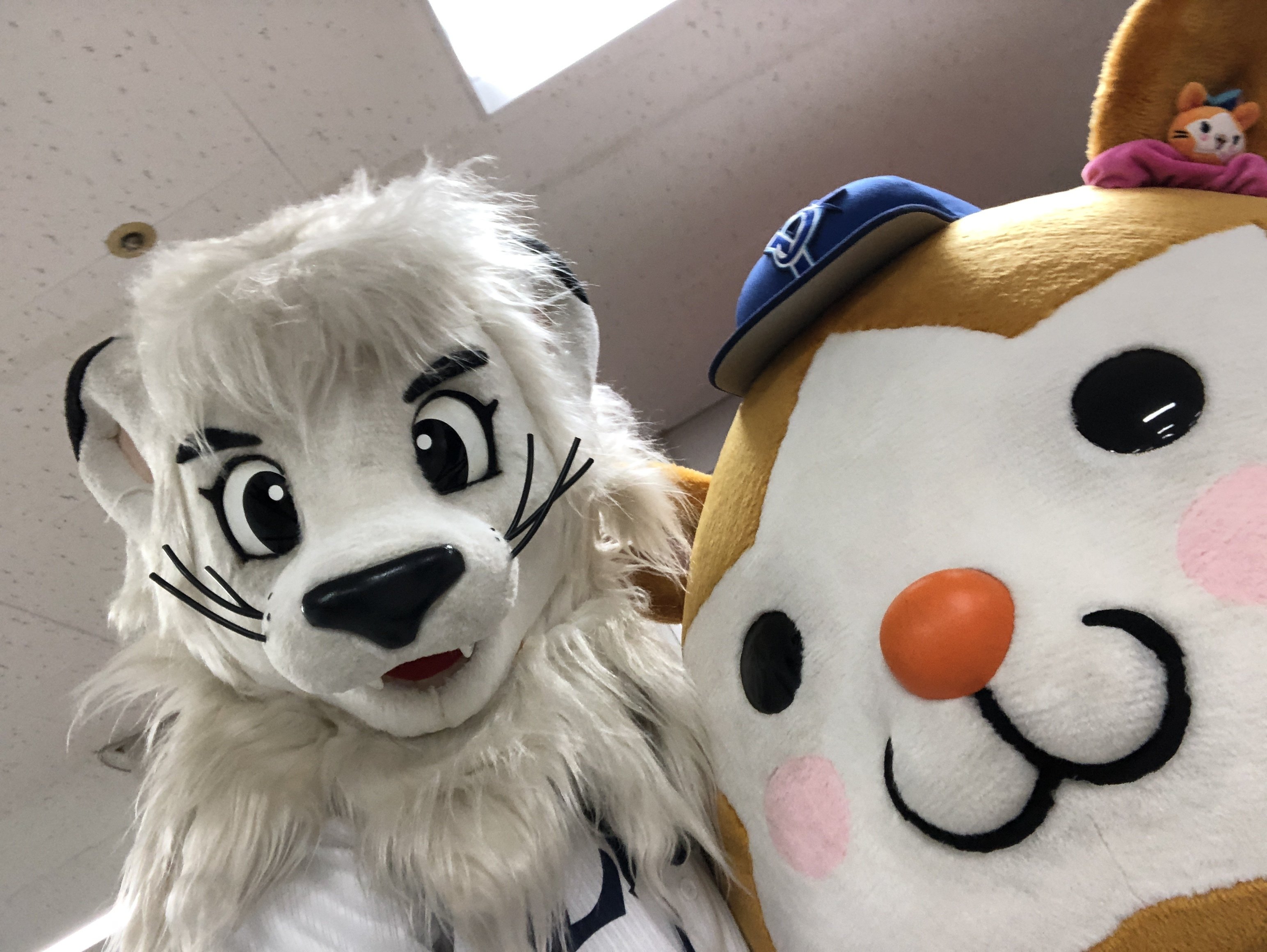 希少！！ライオンキング完成披露試写会ご招待状　専用封筒付き 楽天ブックス: 【楽天ブックス限定配送パック】【先着特典