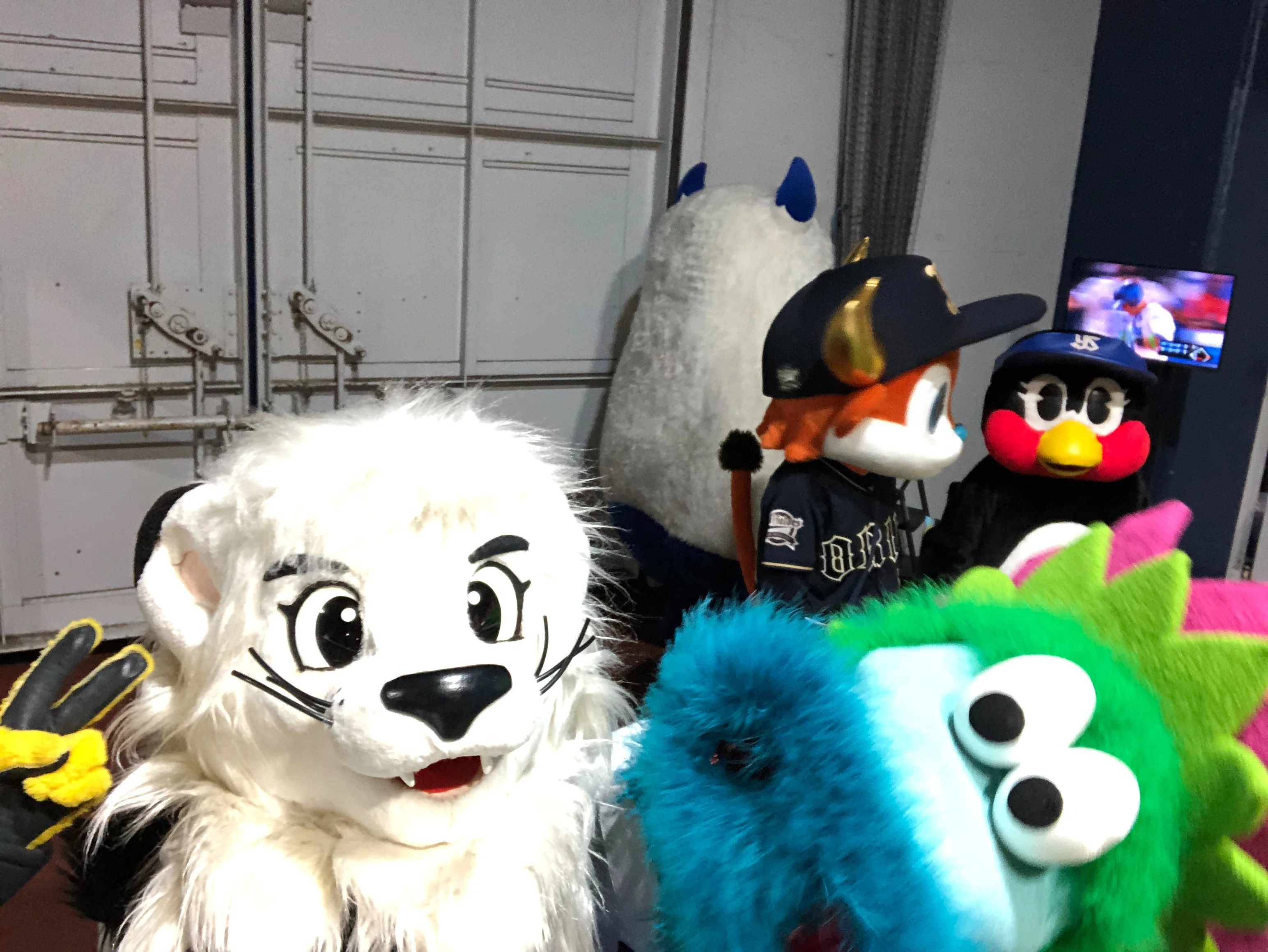 Leo Wants to Be the Star Too! — Behind the Scenes of the All-Star