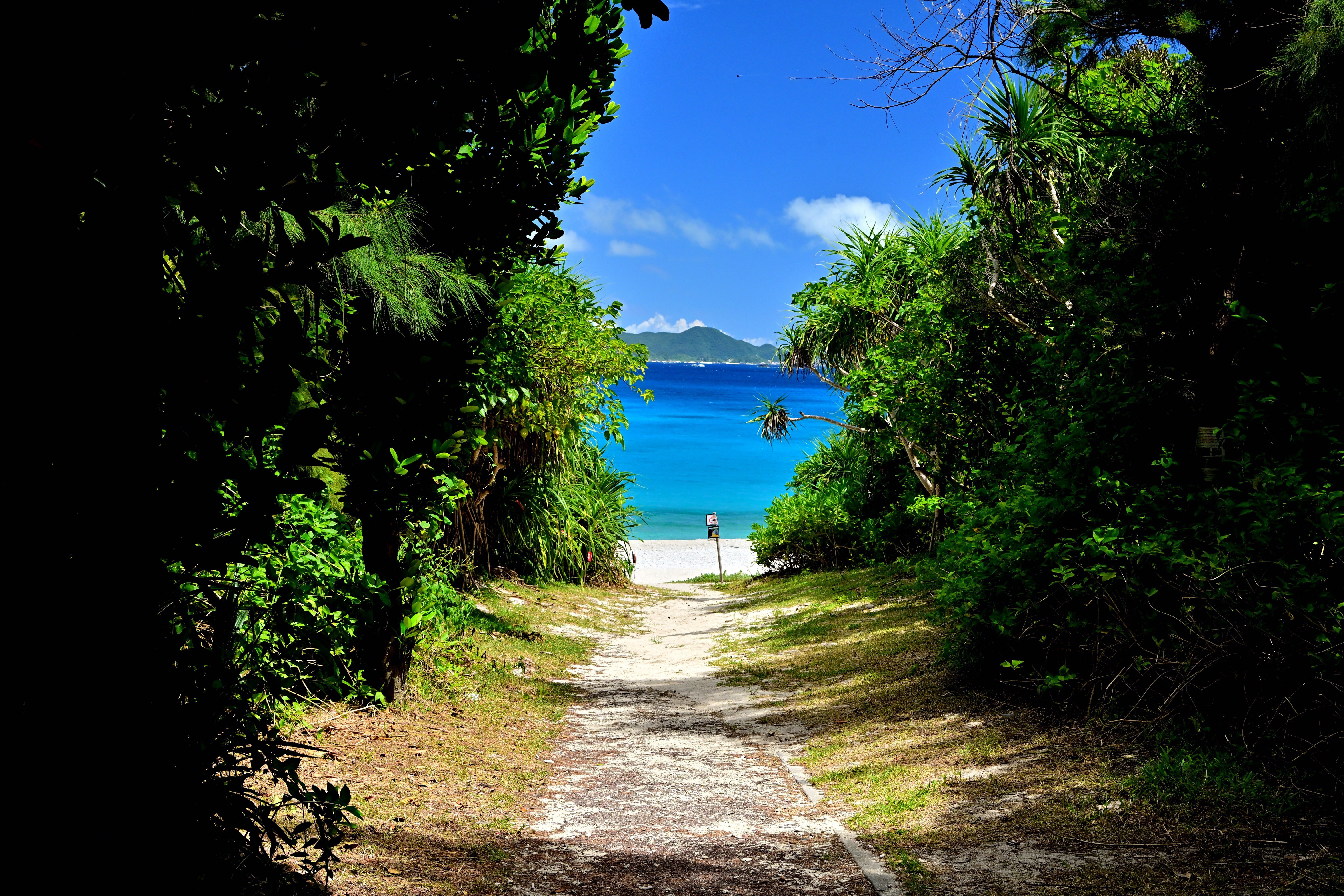 沖縄の離島】古座間味ビーチのケラマブルー｜Heira.K