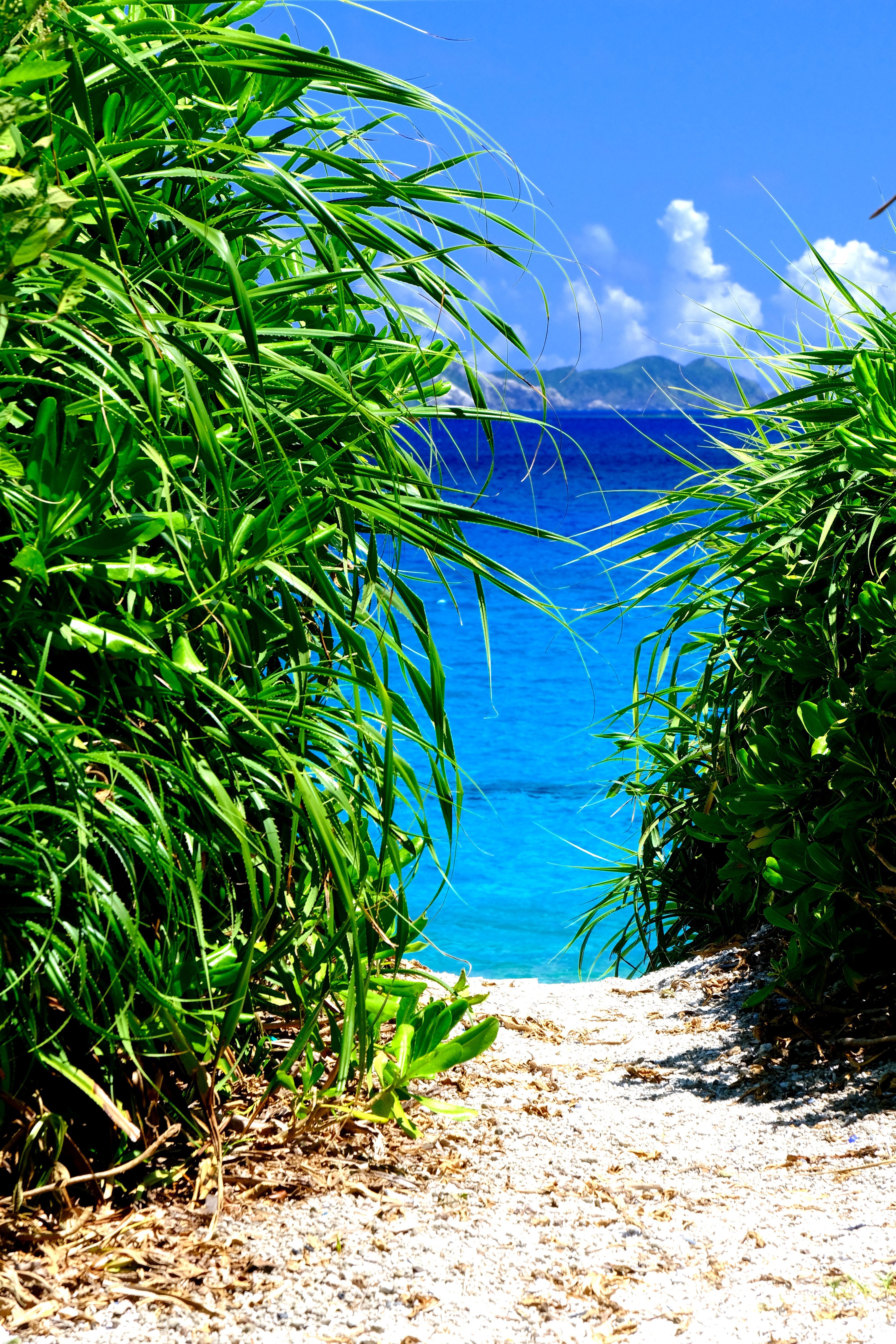 沖縄の離島】古座間味ビーチのケラマブルー｜Heira.K