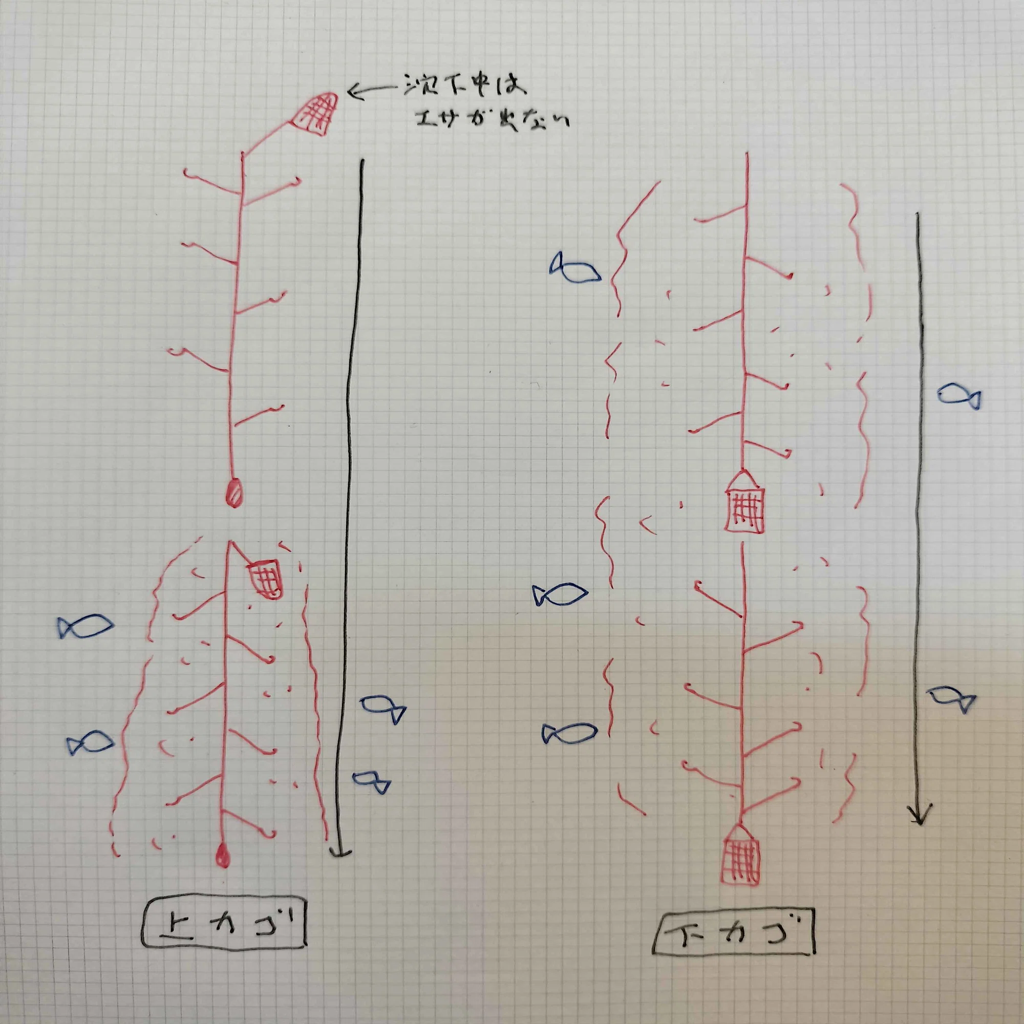 初心者卒業！サビキ釣りの教科書｜道具選びから“見えない煙幕”の操作術 