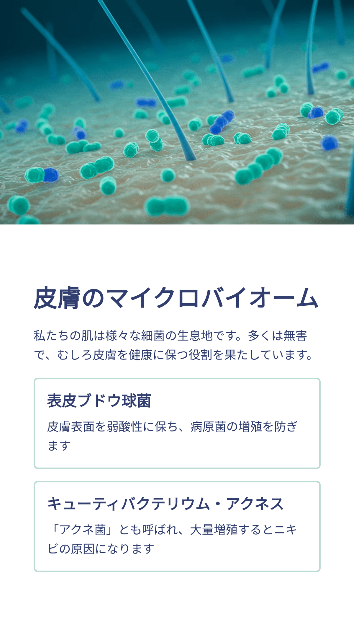 人体マイクロバイオームの驚くべき世界：健康を支える微生物の役割とは