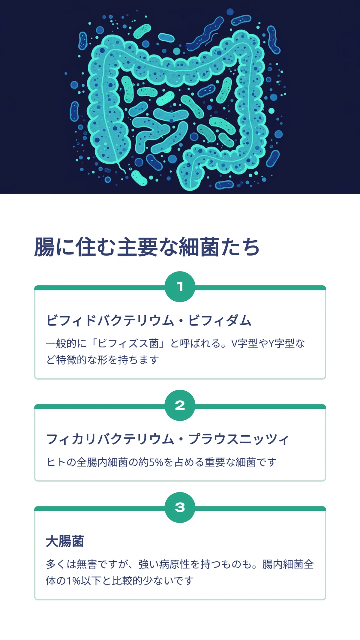 人体マイクロバイオームの驚くべき世界:健康を支える微生物の 人体マイクロバイオームの驚くべき世界:健康を支える微生物の