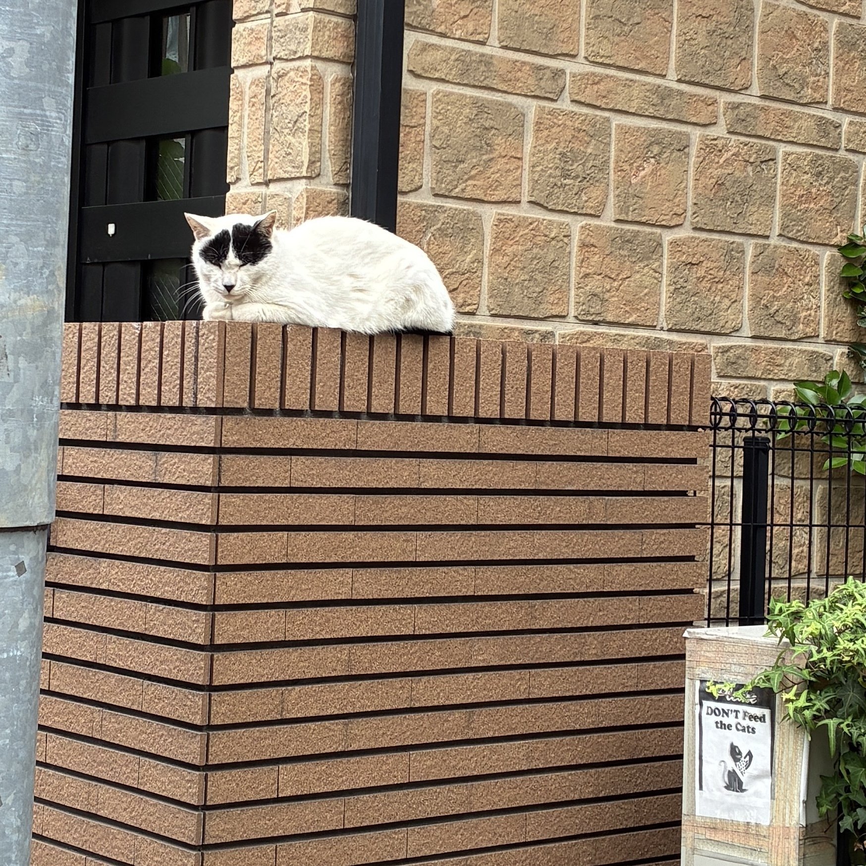 ①⑨⑧⑥【座敷童子宿りし勾玉】引き寄せ潜在意識願望成就器波動コア御守りお守り護符 ①⑨⑧⑥【座敷童子宿りし勾玉】引き寄せ潜在意識願望成就器波動