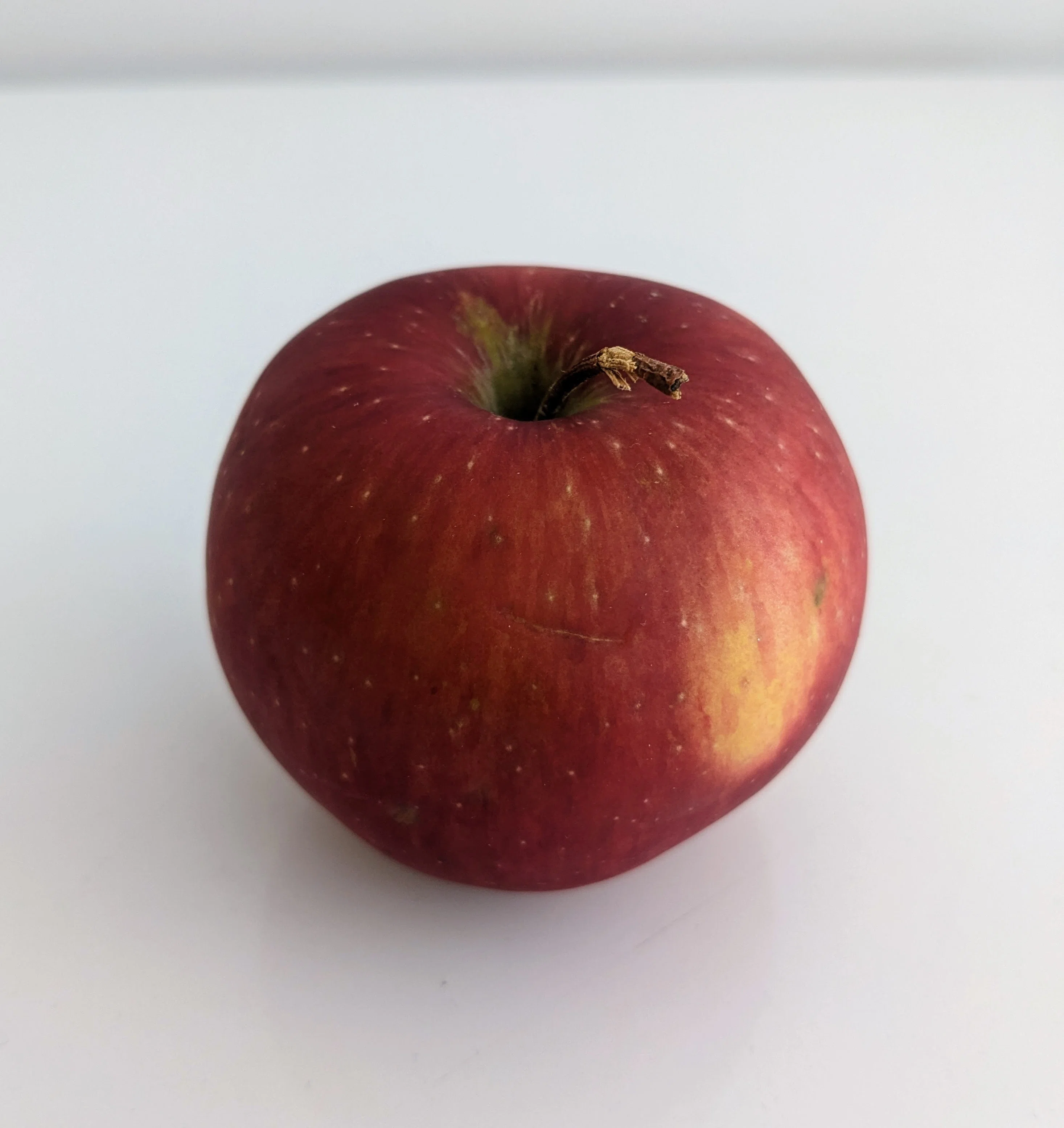 ロンドン生活】 3種のリンゴを食べ比べ🍎 (part 3) ｜f00b4r