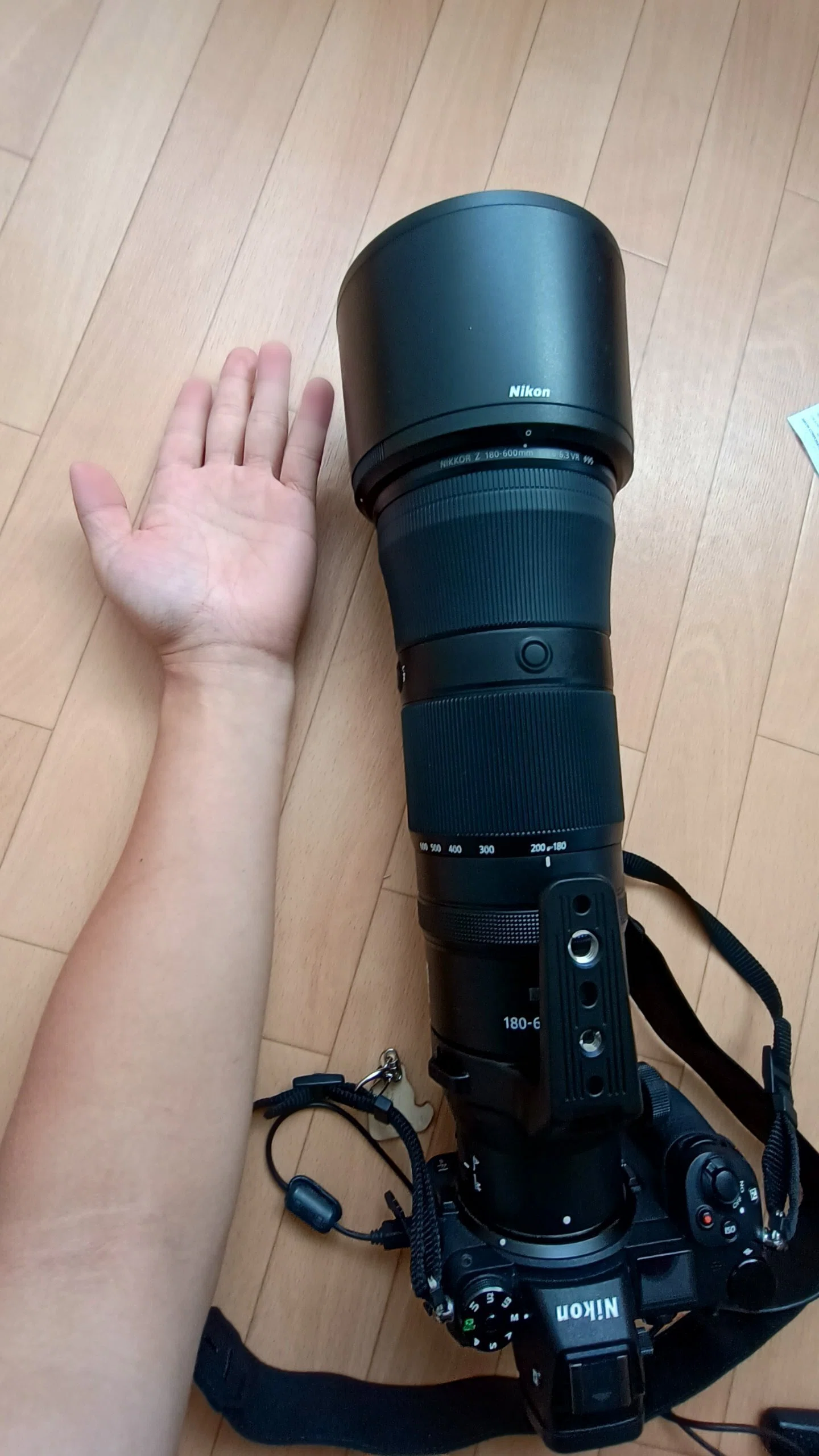 180-600mmを1年間使ってみて｜kumasuke_photo