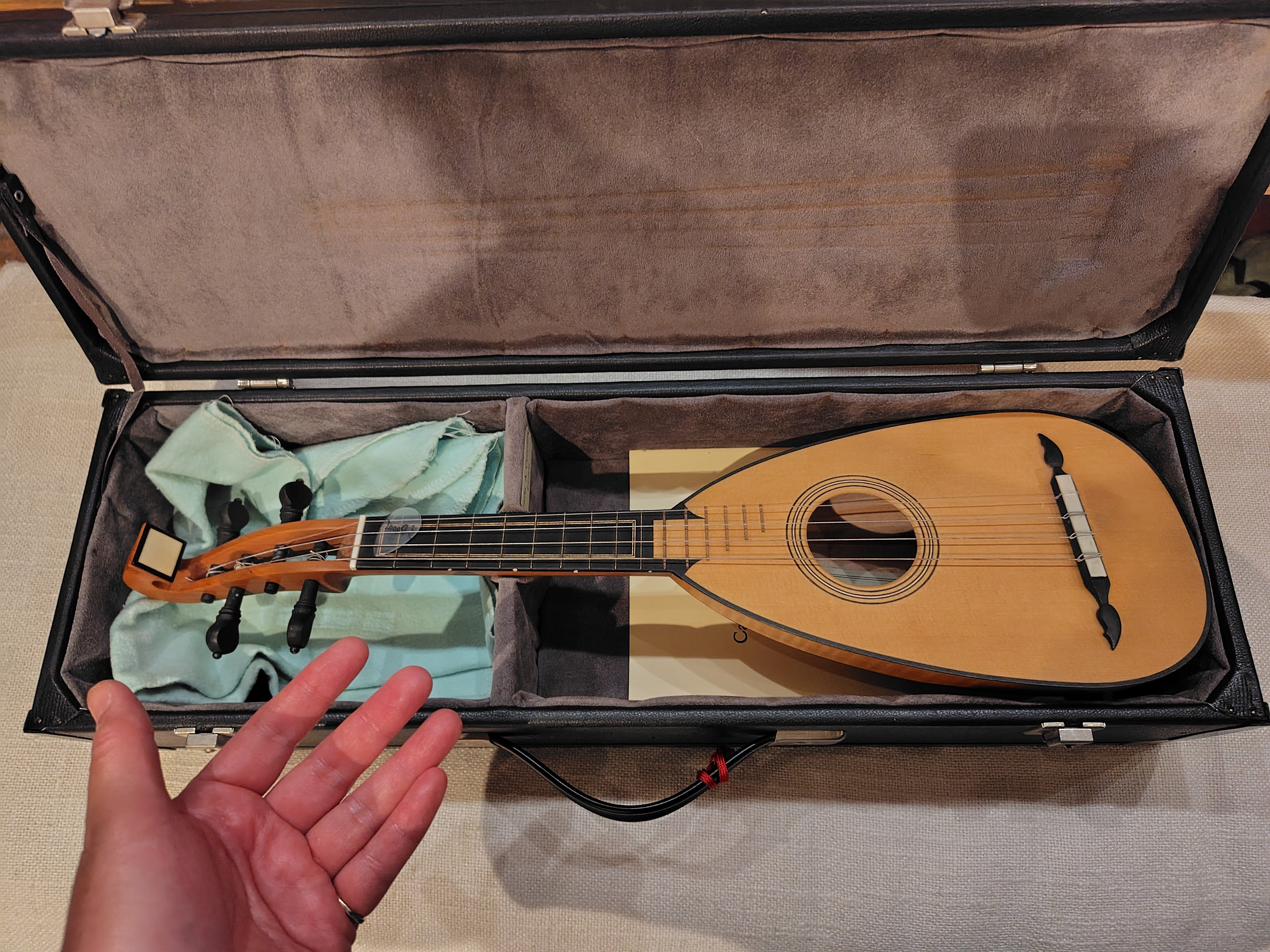 古楽器としてのマンドリンに触れる｜しひな／琴と笛と文筆と旅と