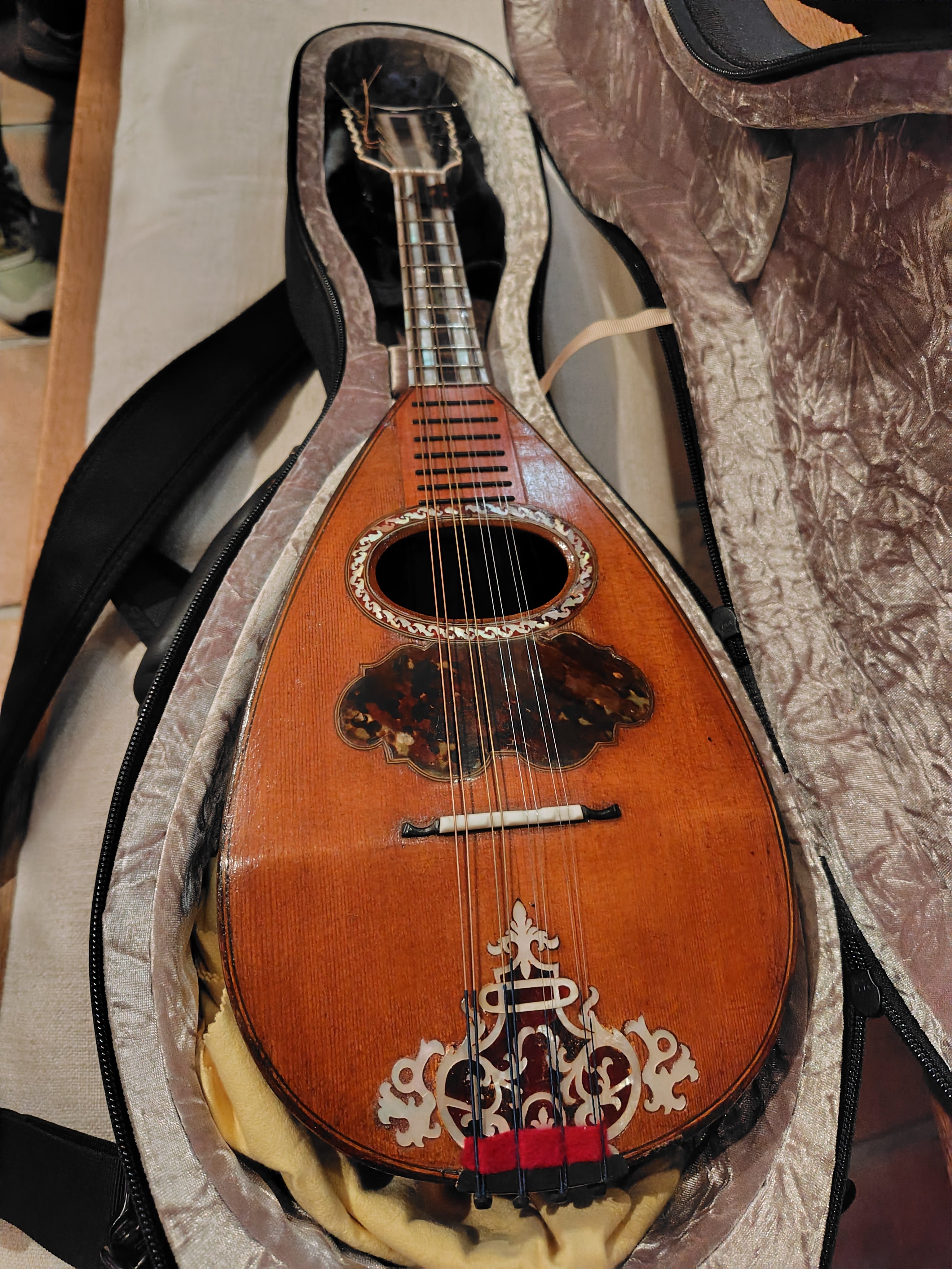 古楽器としてのマンドリンに触れる｜しひな／琴と笛と文筆と旅と