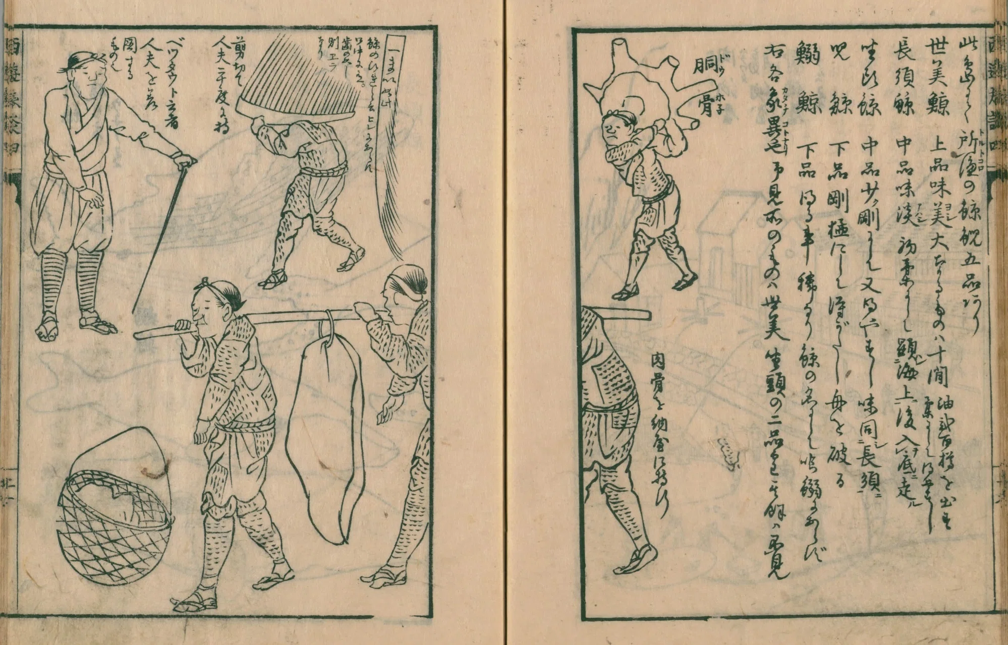 中国画 颜伯龙 綬帯鳥図 四尺中堂 掛け軸／防偽証書付き 真作】 比伯涛 「花鳥図」掛軸 中国美術 掛け軸 花鳥図 中国美術