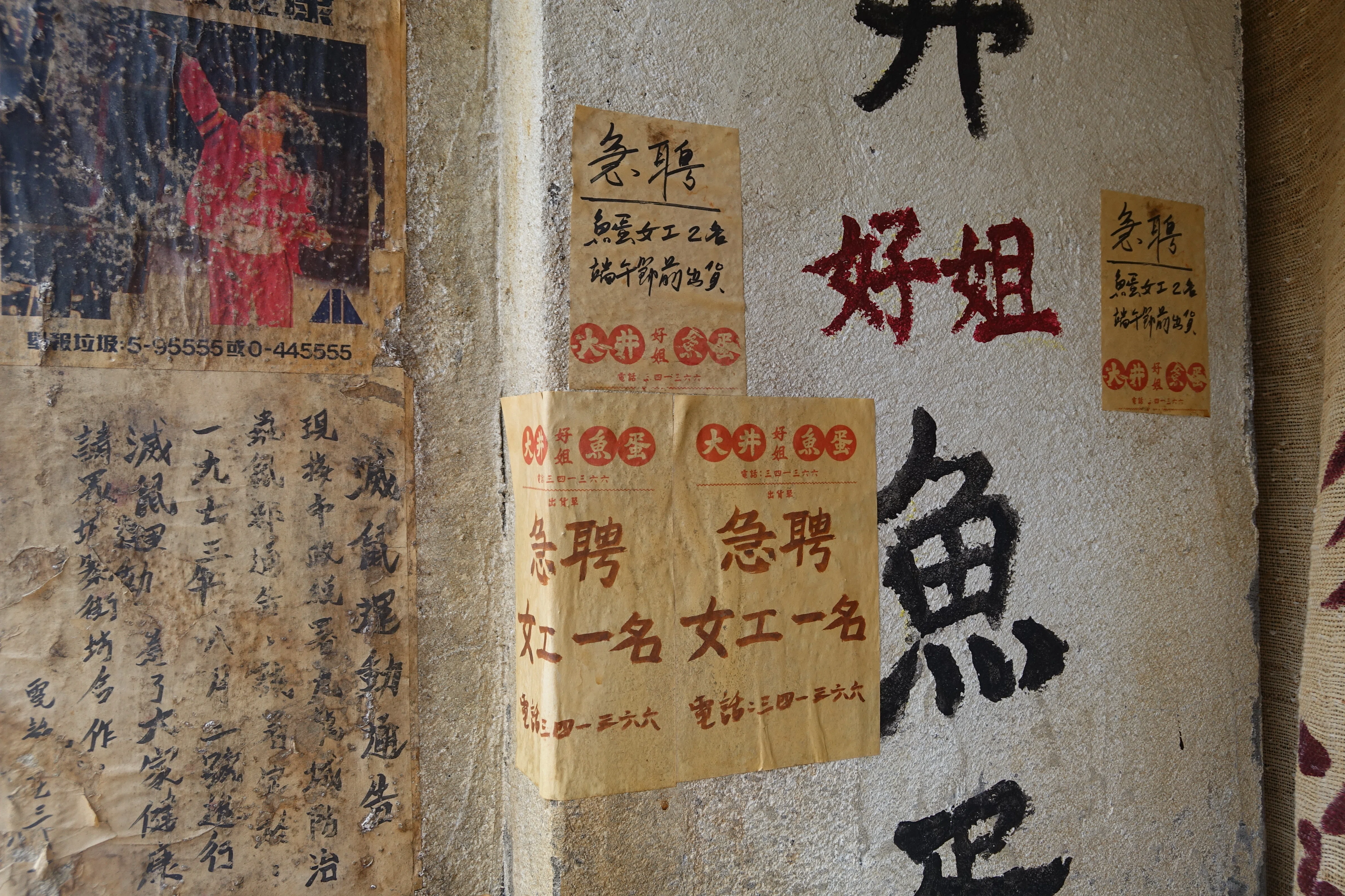 九龍寨城公園展示の諸々｜くろこ