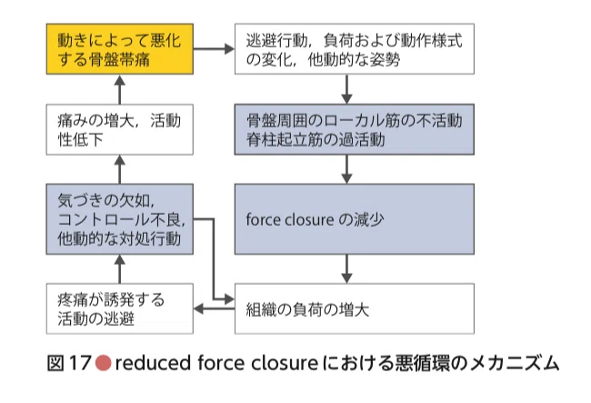 force closureが不足している場合の骨盤帯へのアプローチを示す図