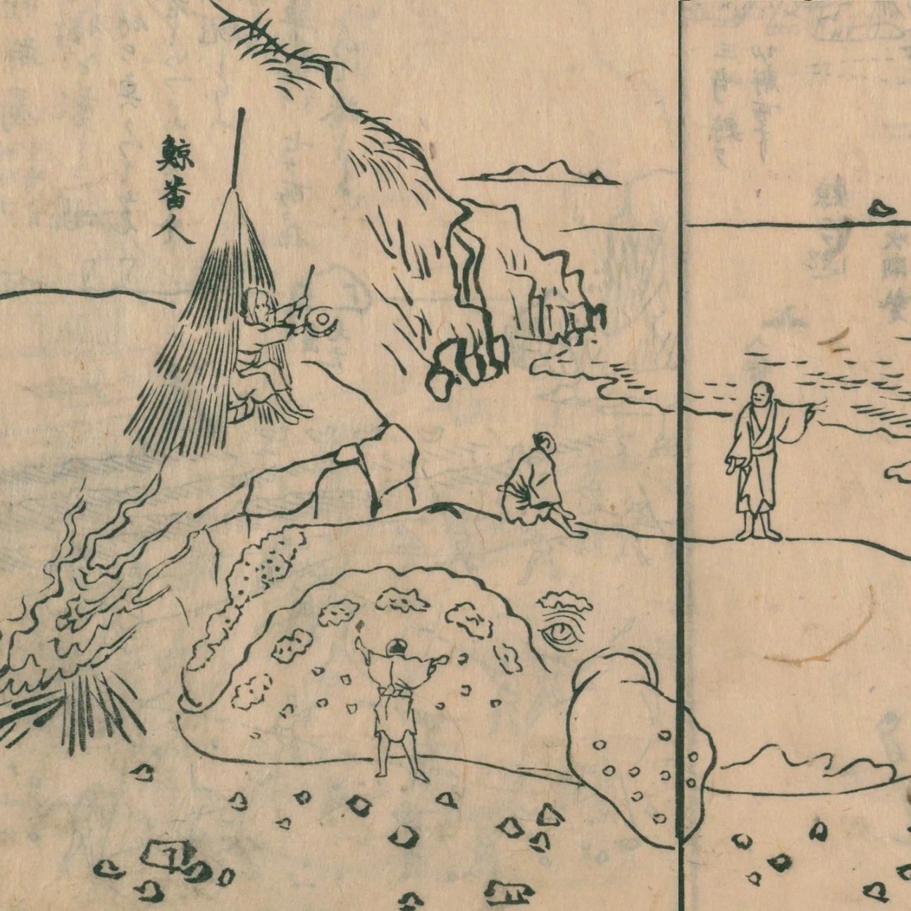 西遊旅譚/司馬江漢】（16）生月島にて鯨納屋を見る｜mominaina