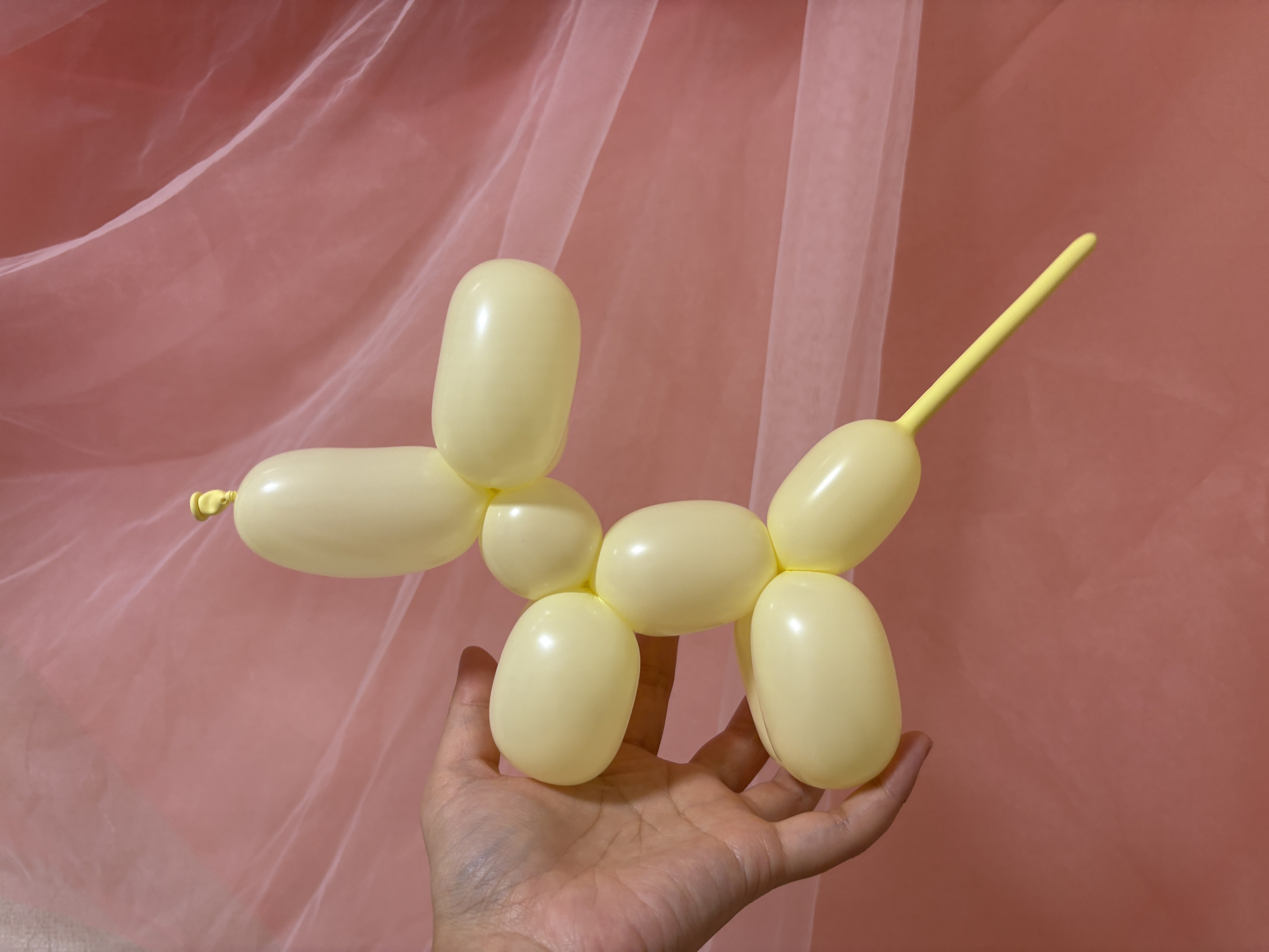 初心者向け】バルーンアートに必要な道具まとめ｜バルーンアーティスト