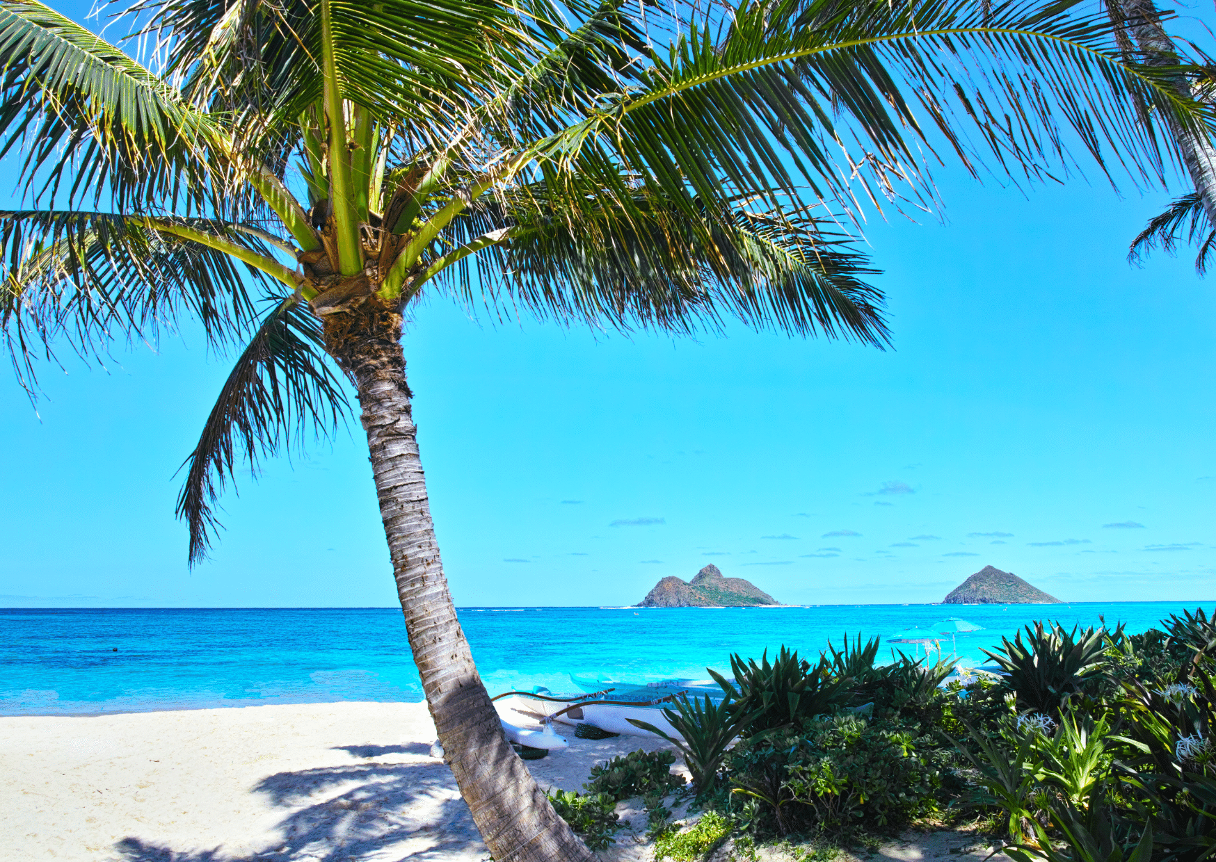 ハワイ・クレオール英語──“英語”だけど、英語じゃない？[73言語目