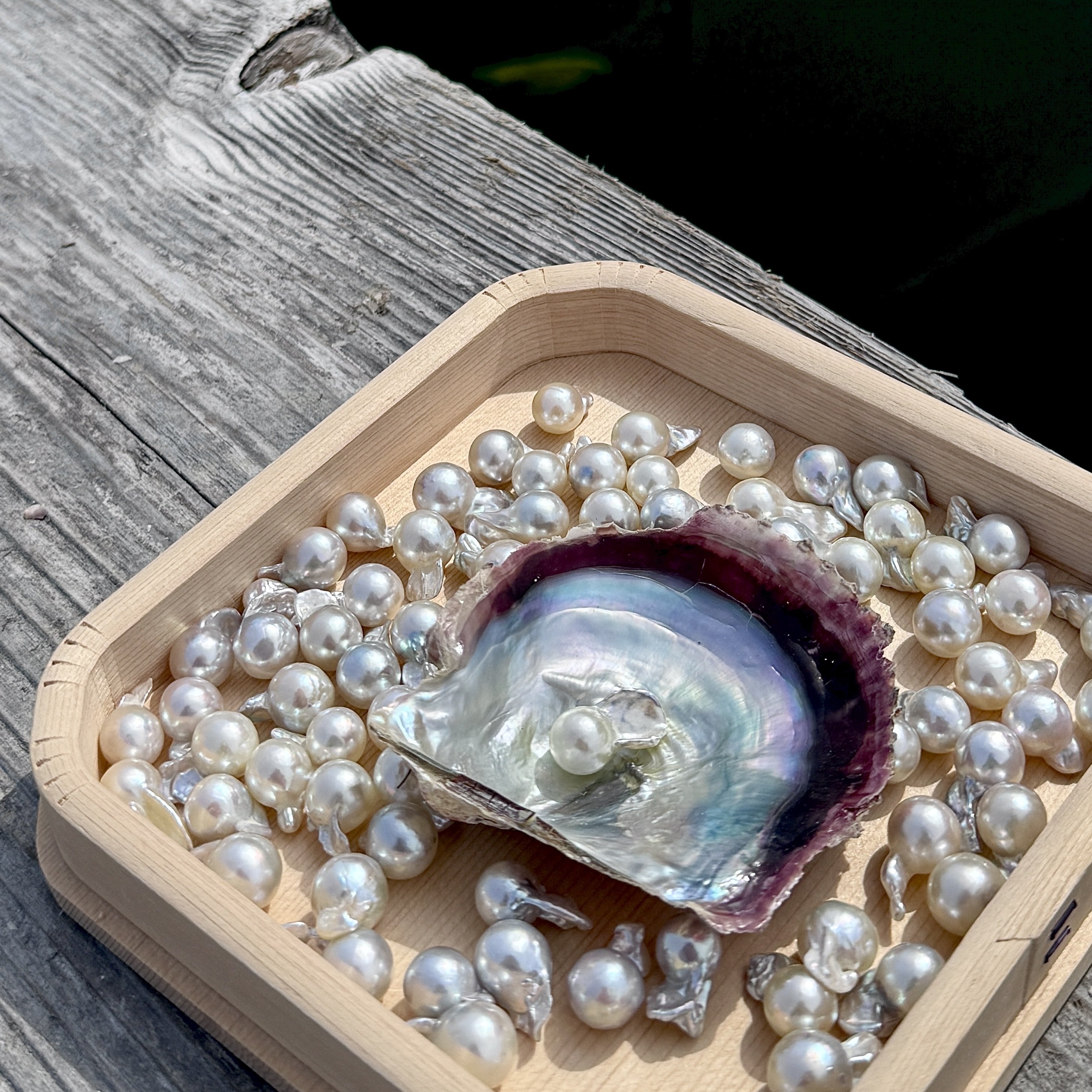 売れるブランディングの方程式 ── 育てるタオル・佐藤昌子さん対談