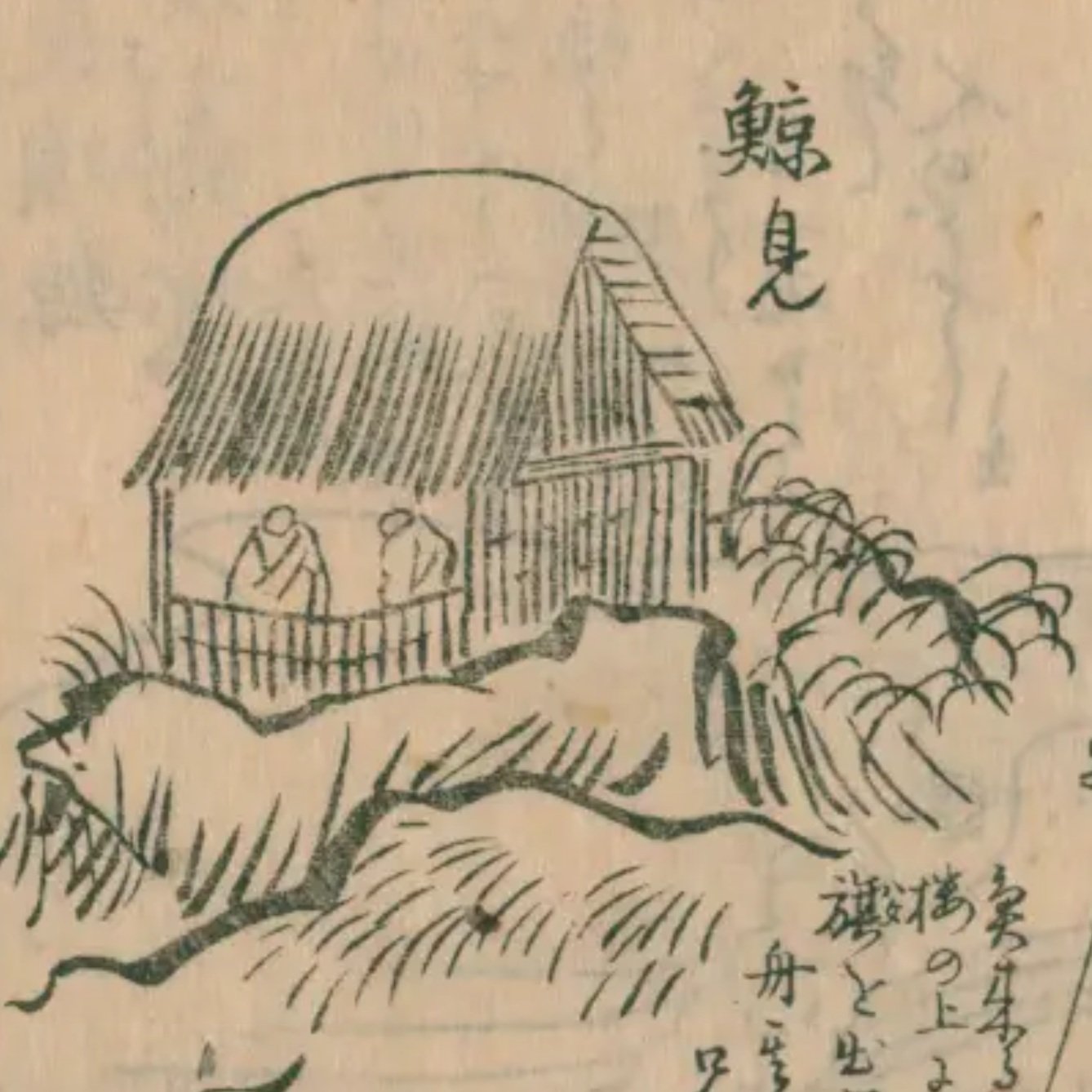 西遊旅譚/司馬江漢】（16）生月島にて鯨納屋を見る｜mominaina