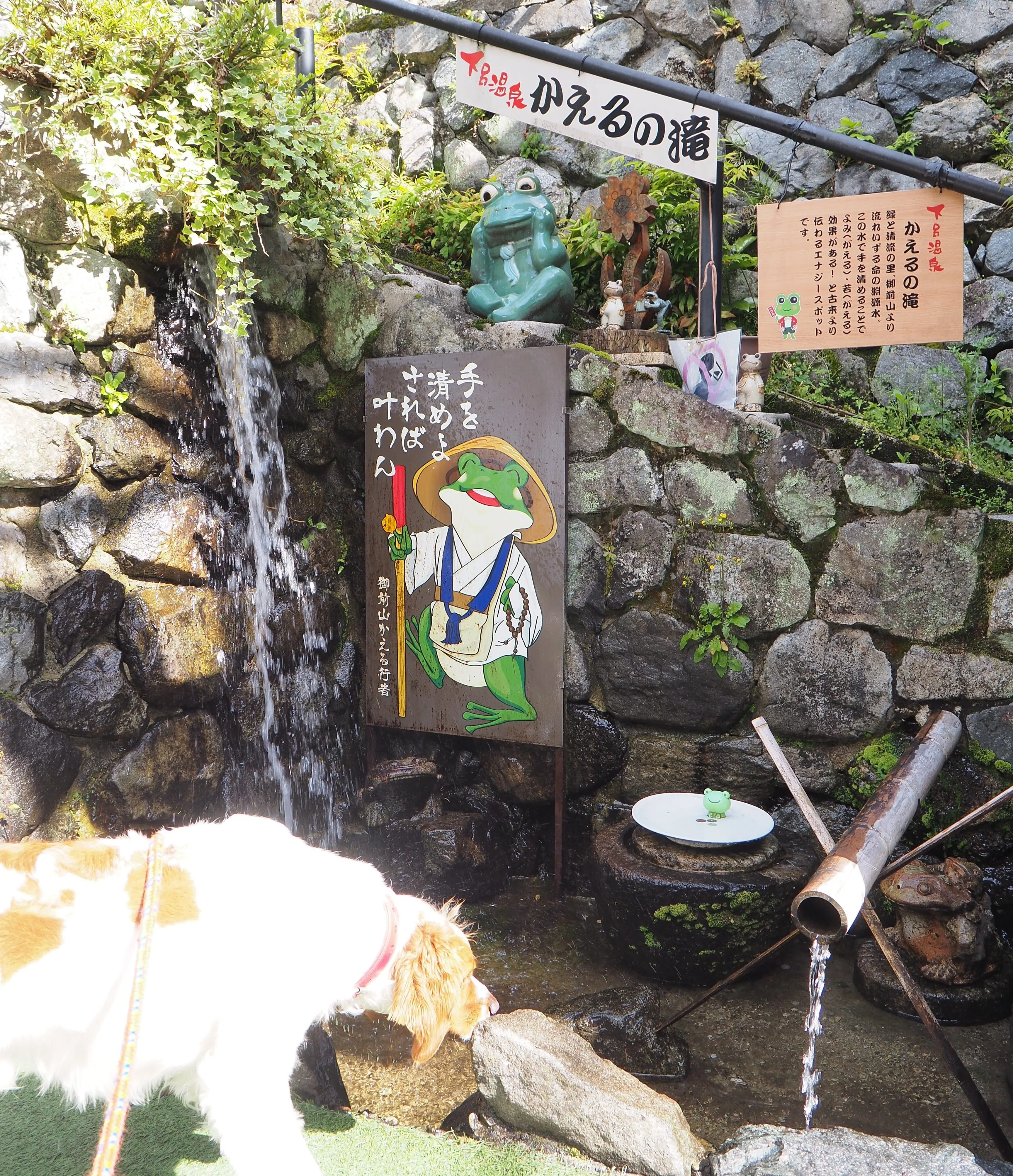 Gero Onsen, Occupied by Frogs: Chanting 'Gero, Gero' at a Great